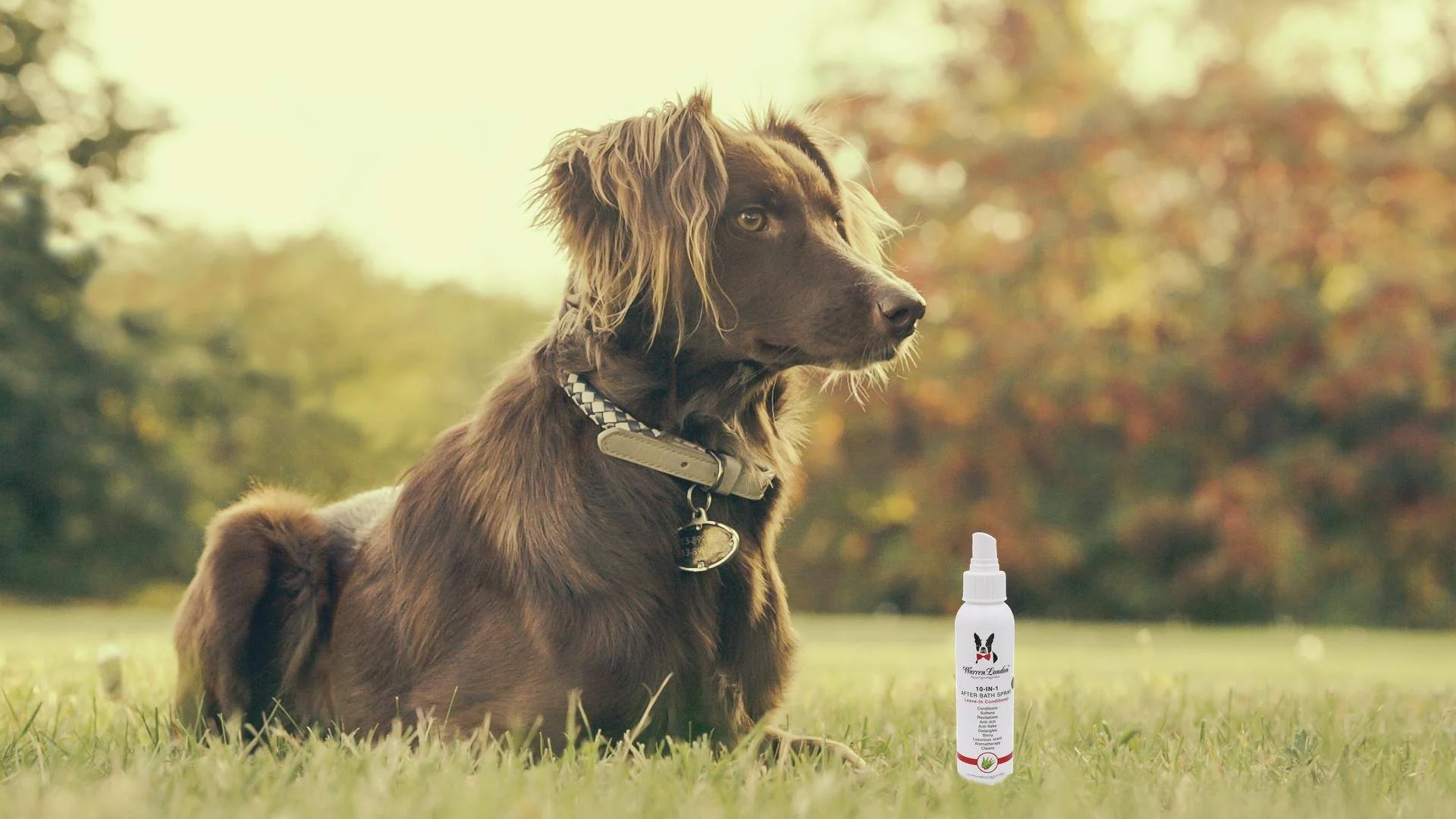 10-In-1 Leave-In Conditioner and Detangling Spray - Image 8