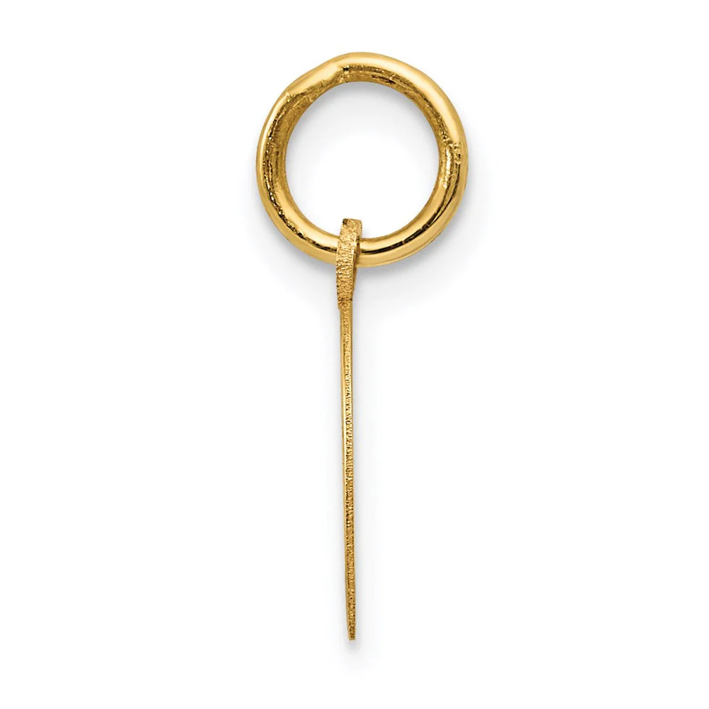 14k Yellow Gold Horseshoe Charm in Polished - Image 2