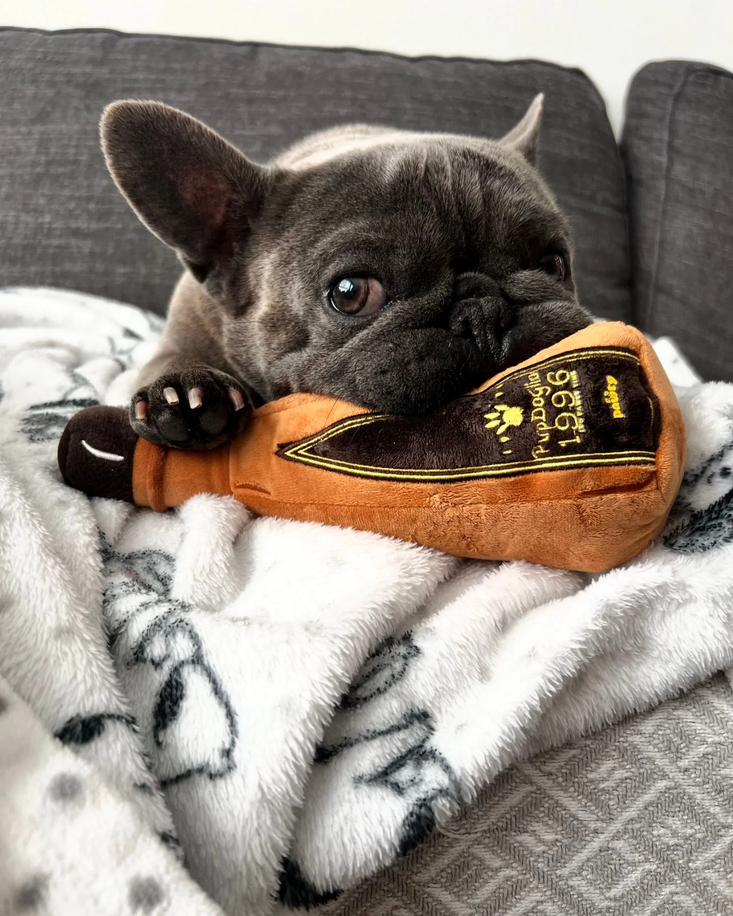 Pet Toy: 1996 TEQUILA PLUSH DOG TOY - Image 9