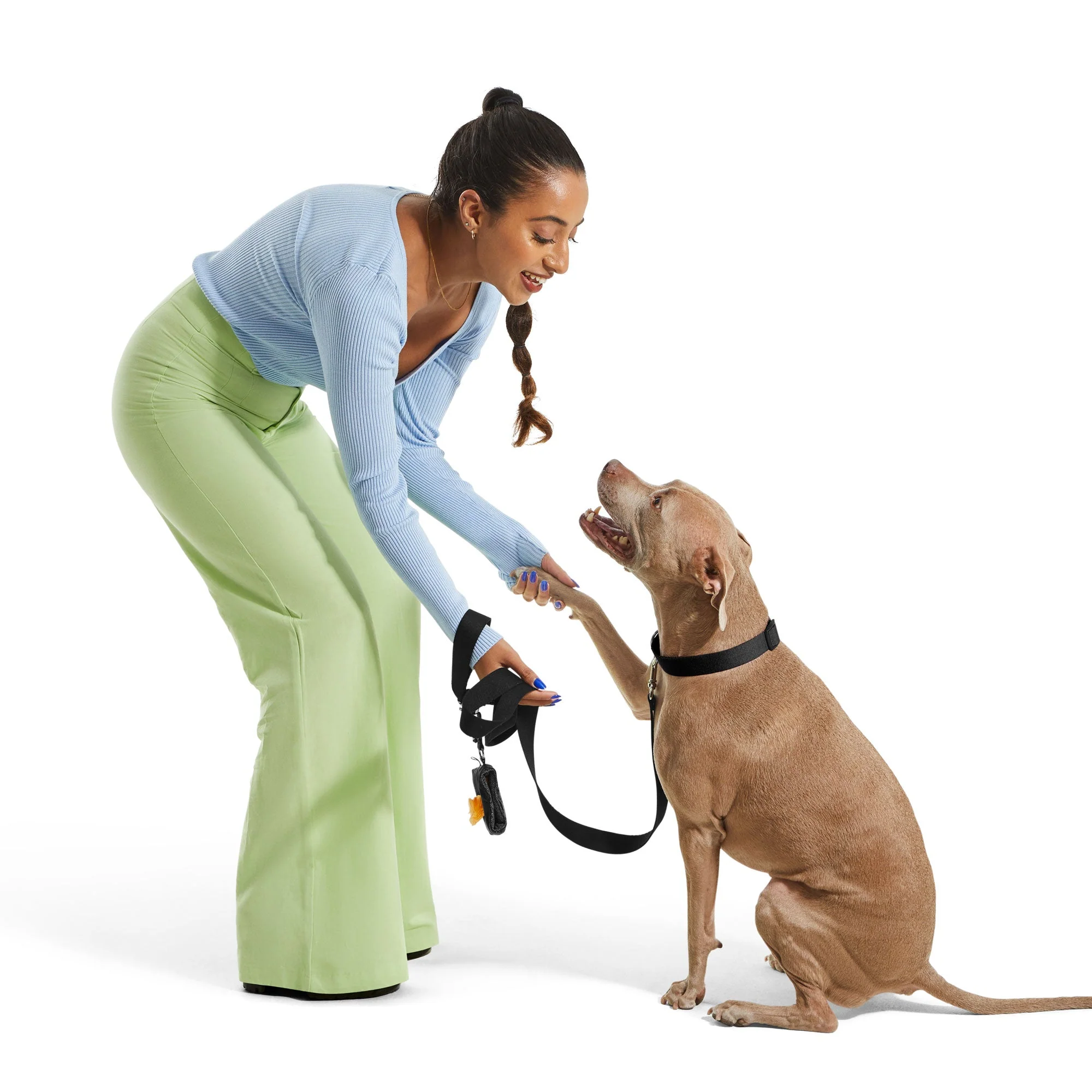 #2 Dog Collar Kit - Image 2