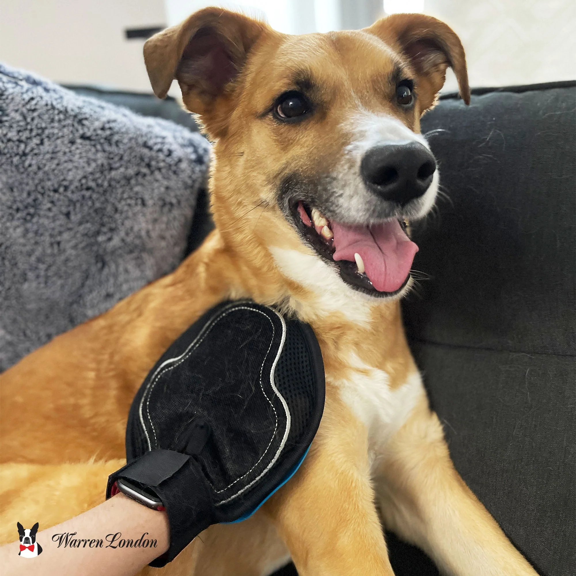 2 in 1 Pet Grooming Glove for Dogs & Cats - Double Sided - Image 8