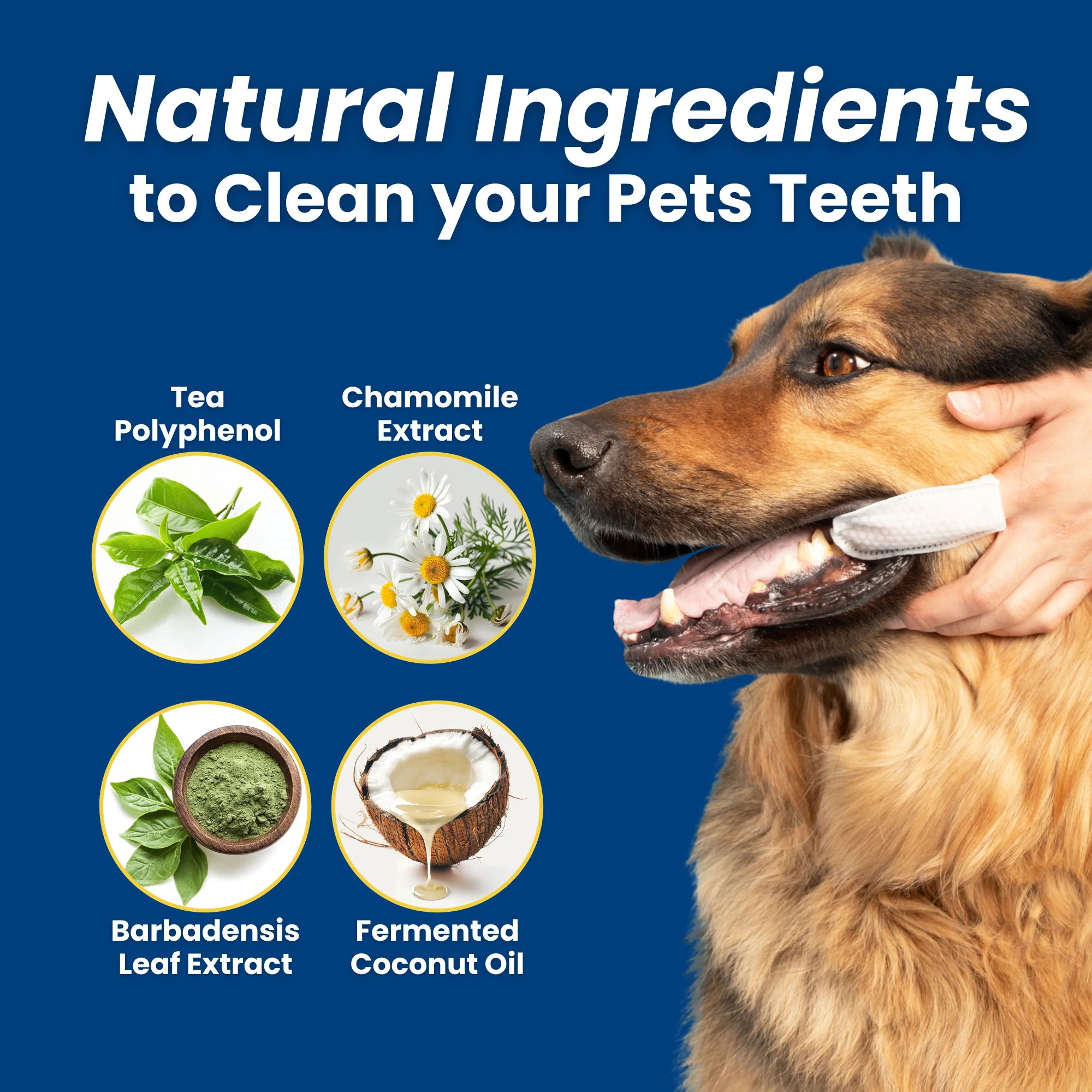 3-Pack Hygiene Bundle – Pet Dental, Ear, & Eye Finger Wipes - Image 3