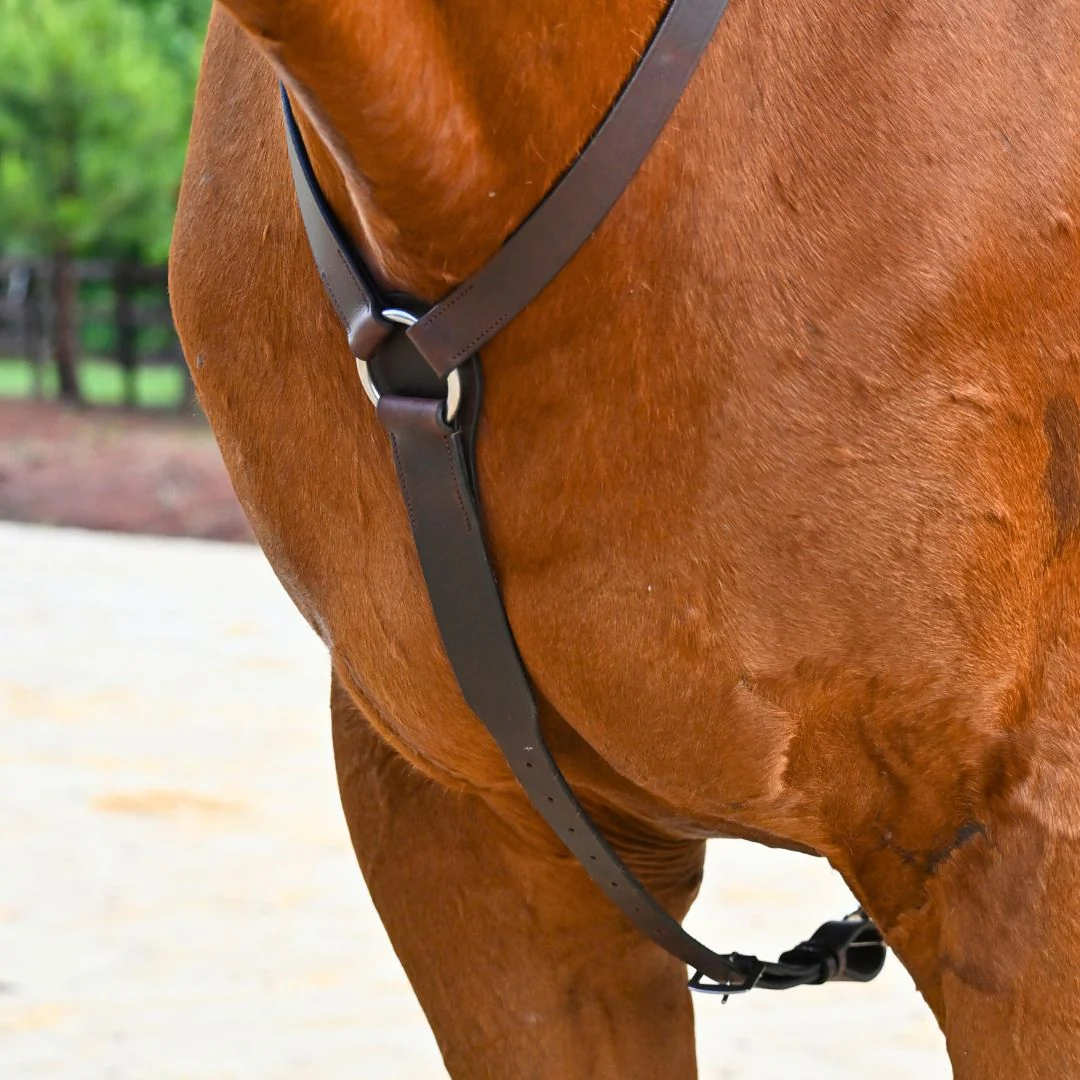 3-Point Breastplate with Double Neck Strap - Image 3