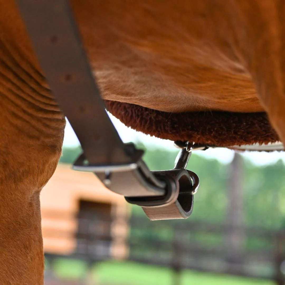3-Point Breastplate with Double Neck Strap - Image 5