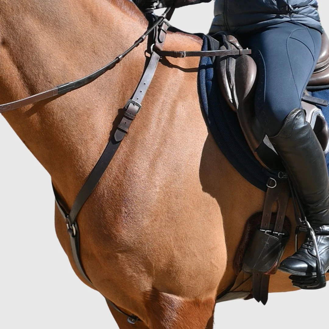 3-Point Breastplate with Double Neck Strap - Image 7