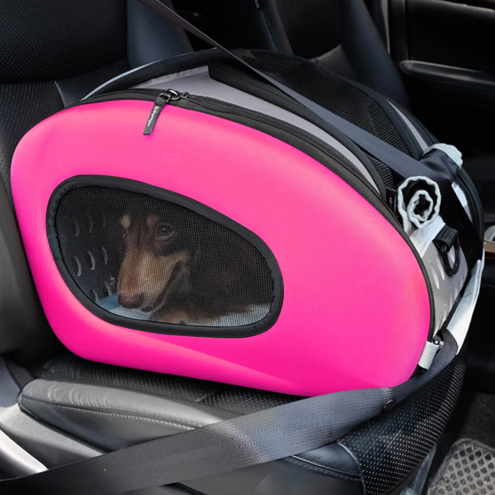 5-in-1 Combo EVA Pet Carrier Stroller Backpack - Image 24