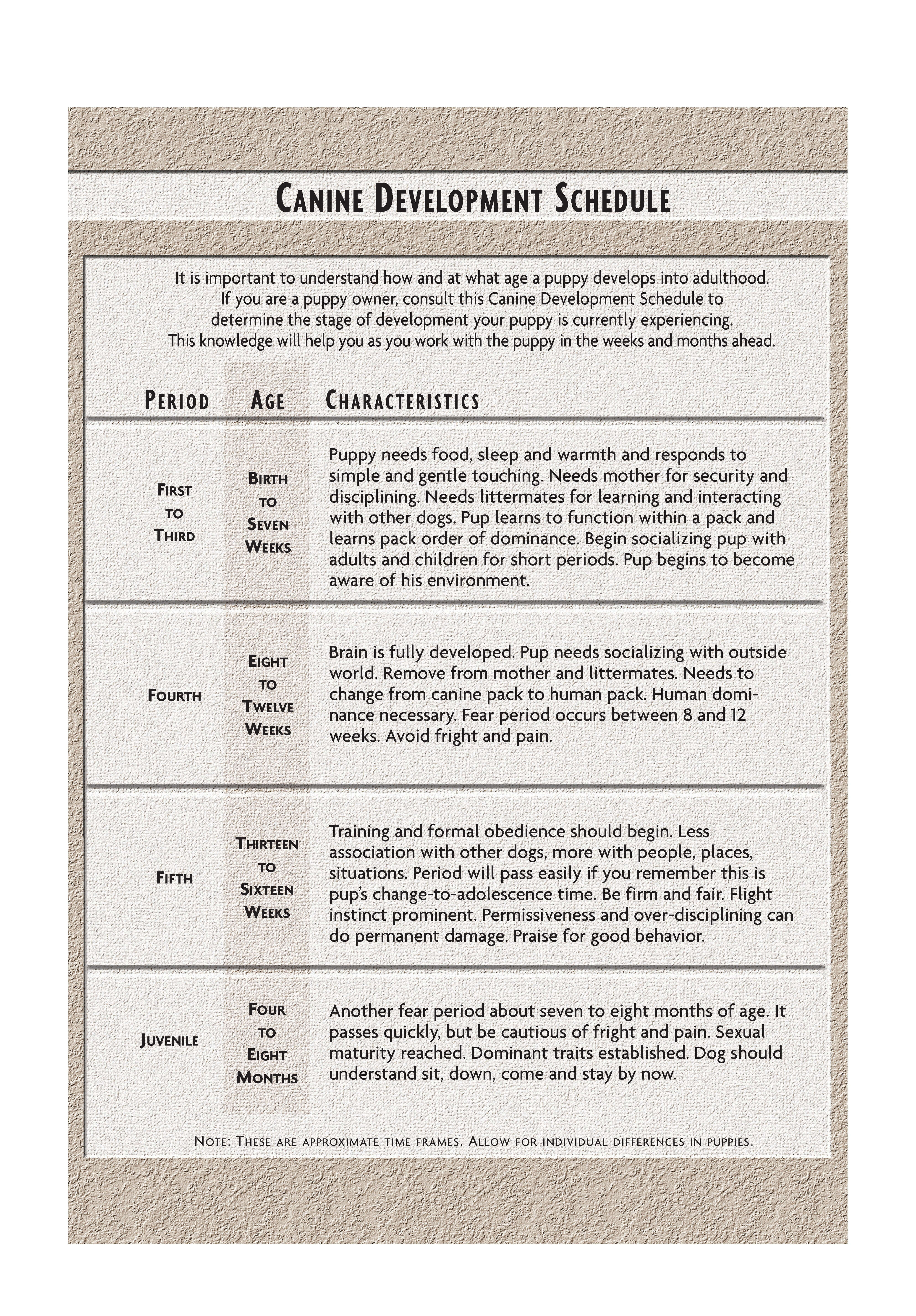 Affenpinscher (Comprehensive Owner's Guide) - Image 3