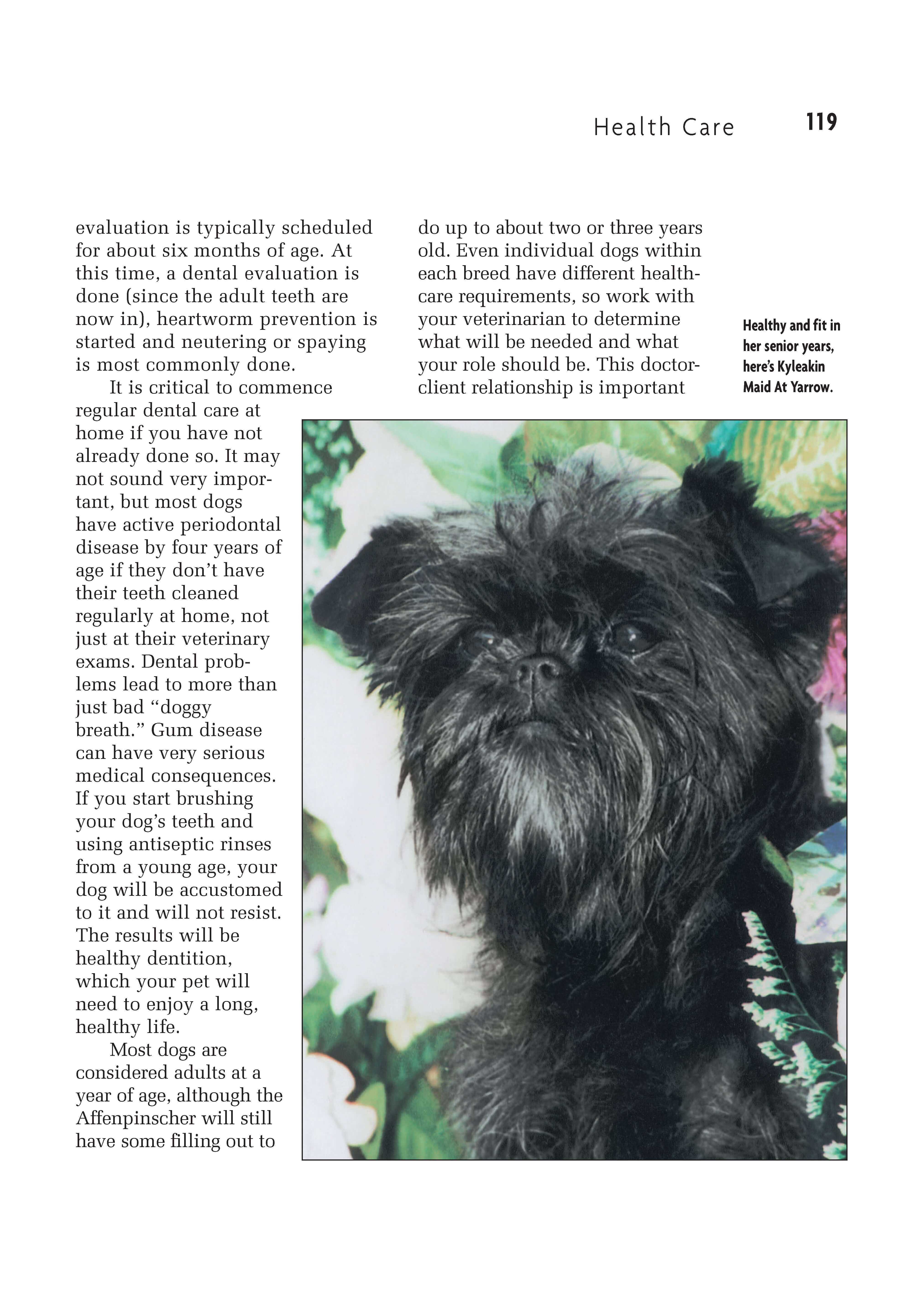 Affenpinscher (Comprehensive Owner's Guide) - Image 4
