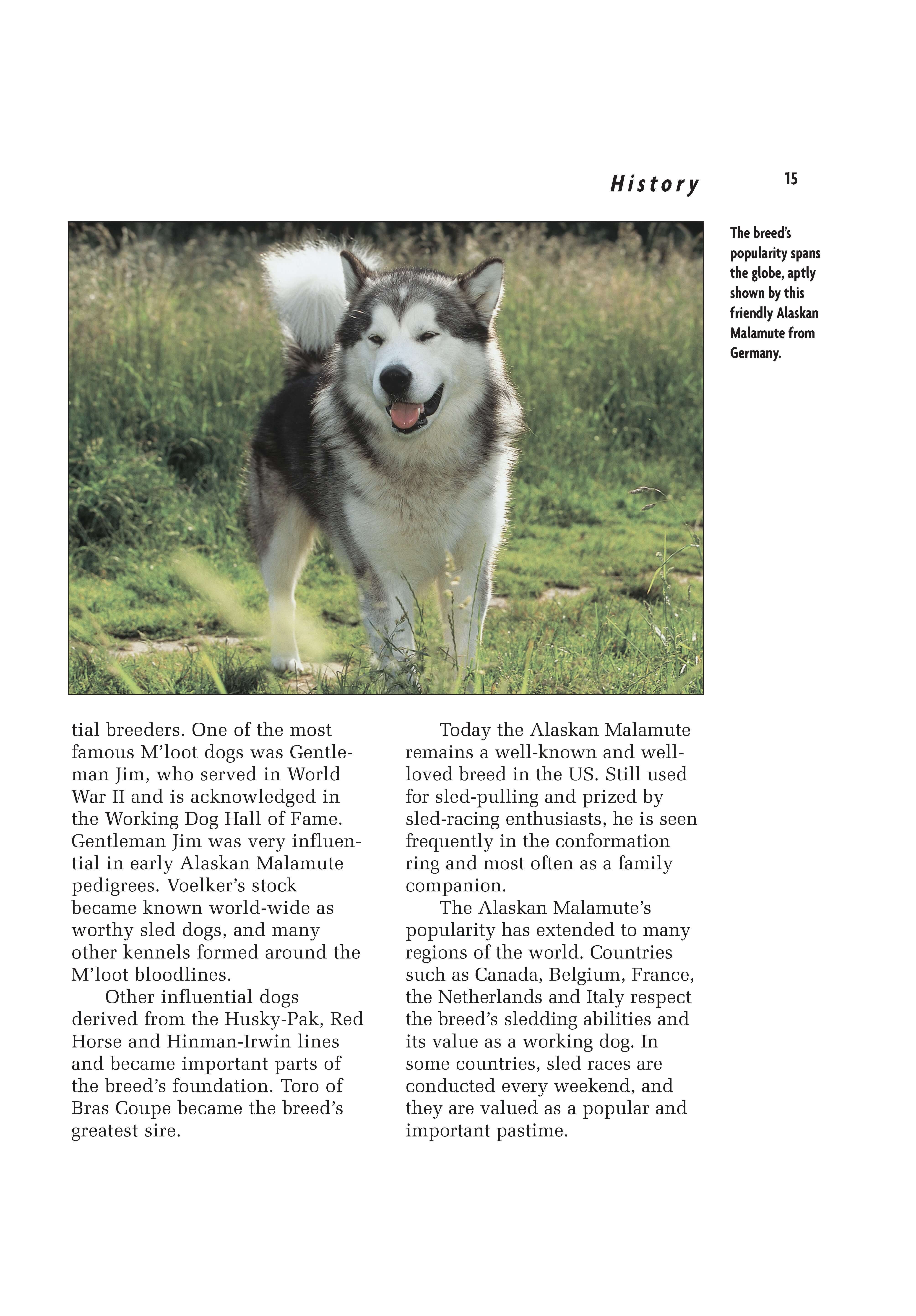 Alaskan Malamute (Comprehensive Owner's Guide) - Image 2