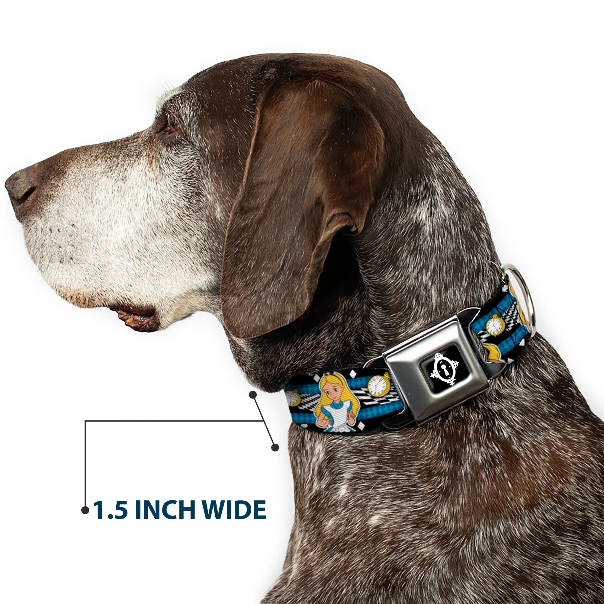 Alice Keyhole Full Color Black/White Seatbelt Buckle Collar - Alice in Wonderland Poses/Clock/Bottle Diamond/Stripe Black/White/Blues - Image 7