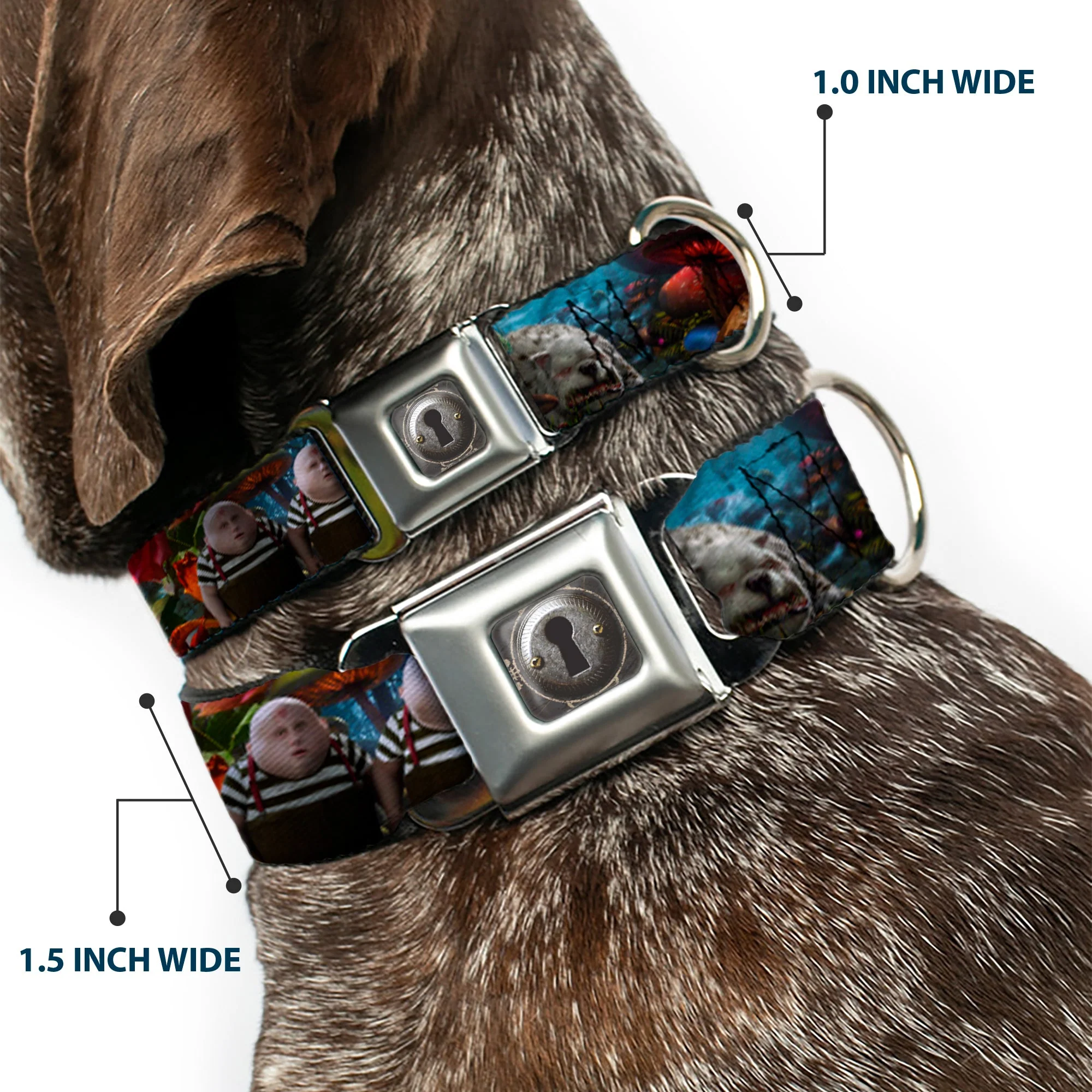 Alice Keyhole Full Color Grays Seatbelt Buckle Collar - Alice in Wonderland Movie Encounters - Image 2