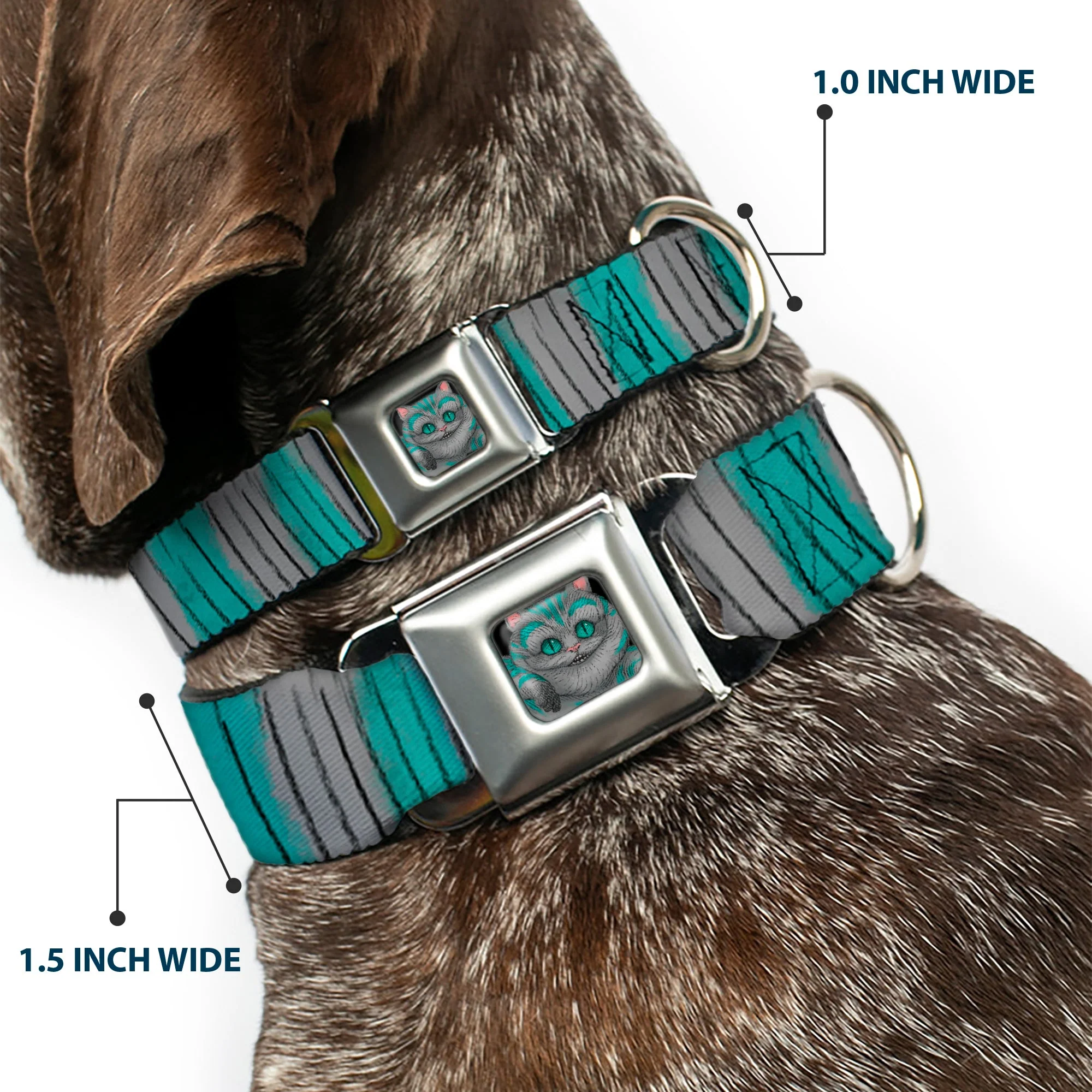 Alice Through the Looking Glass Cheshire Cat Pose Full Color Black Seatbelt Buckle Collar - Cheshire Cat Stripes Gray/Teal/Black - Image 2