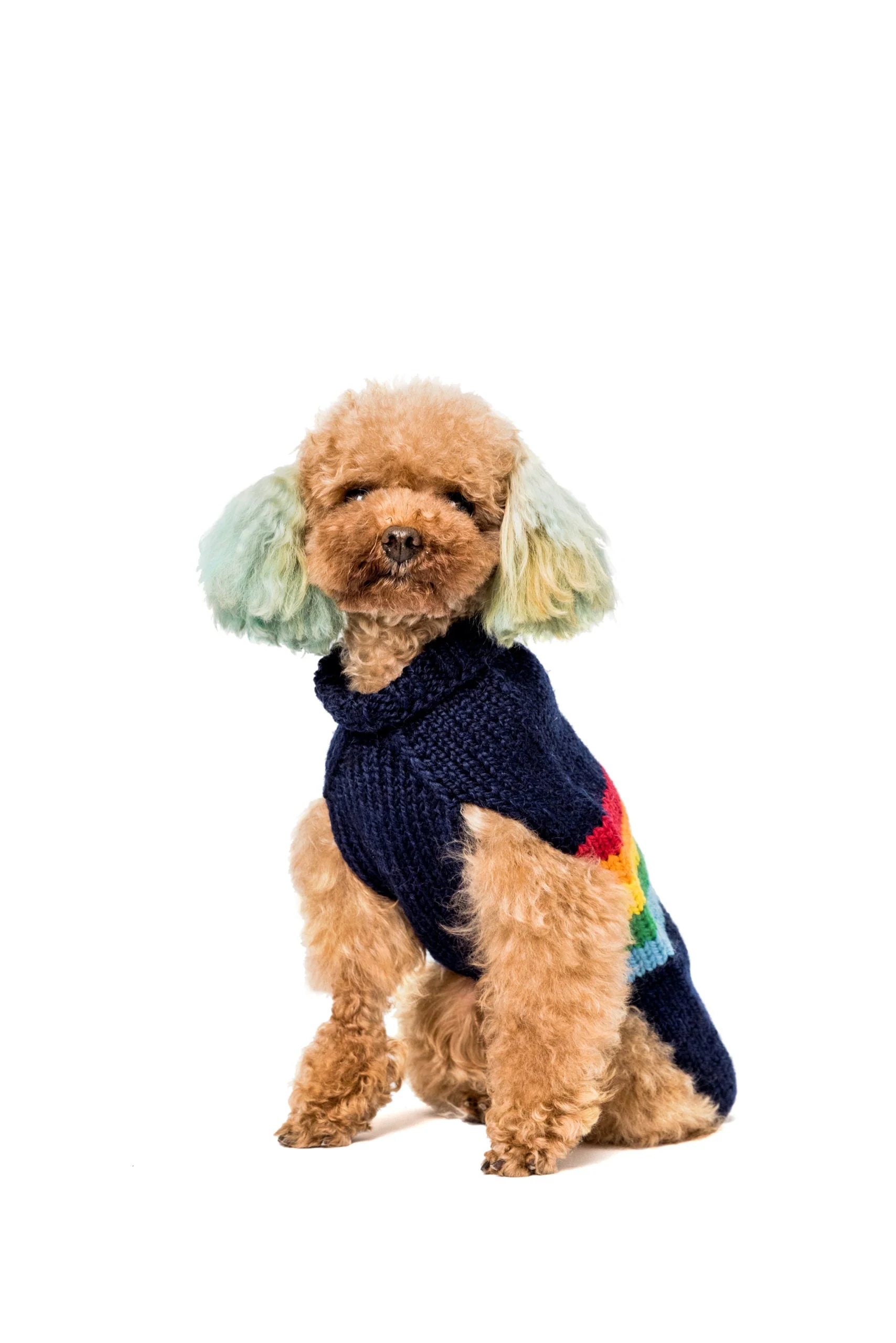 Alpaca Good Vibes Dog Sweater - Image 4