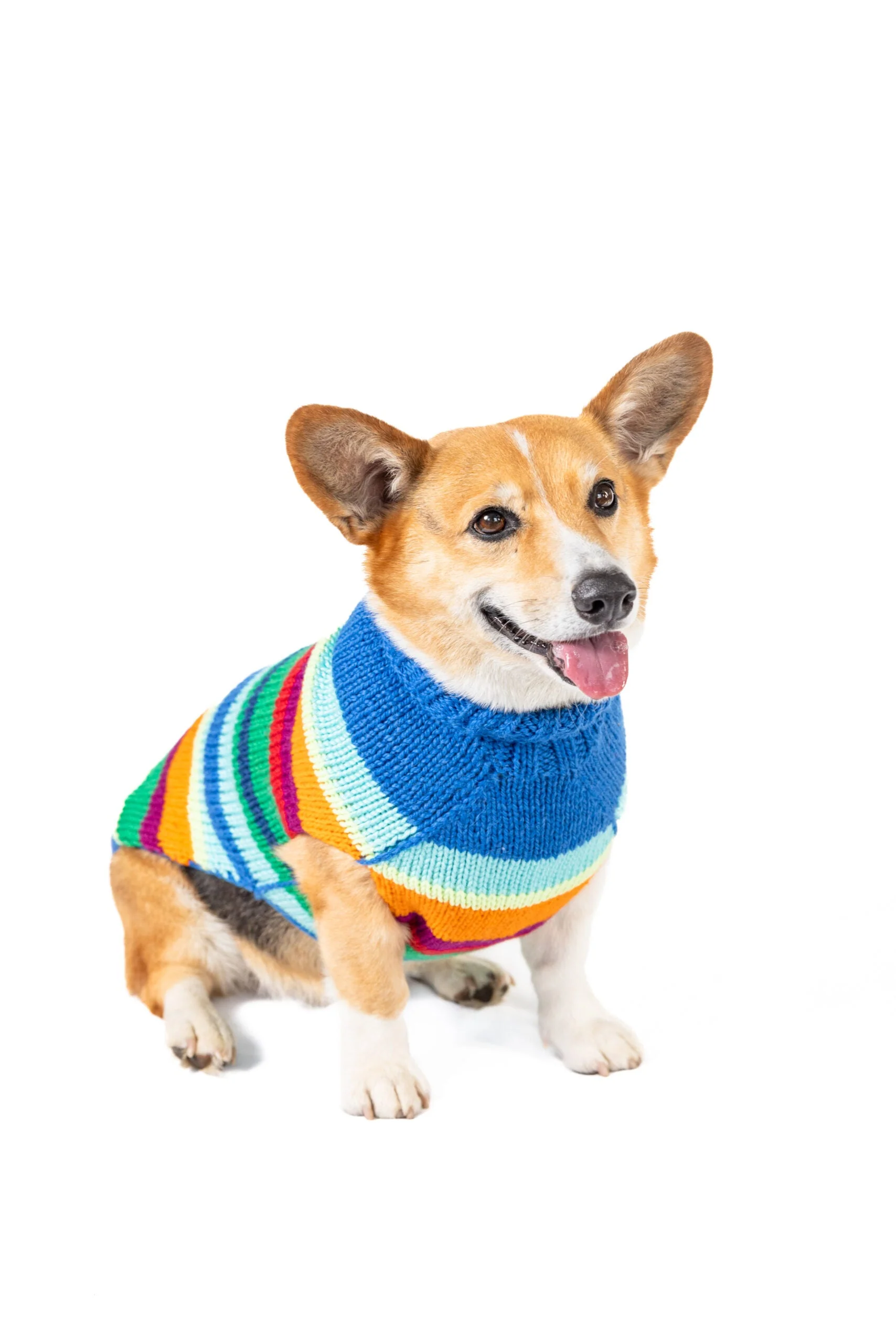 Alpaca Royal Stripe Dog sweater - Image 5