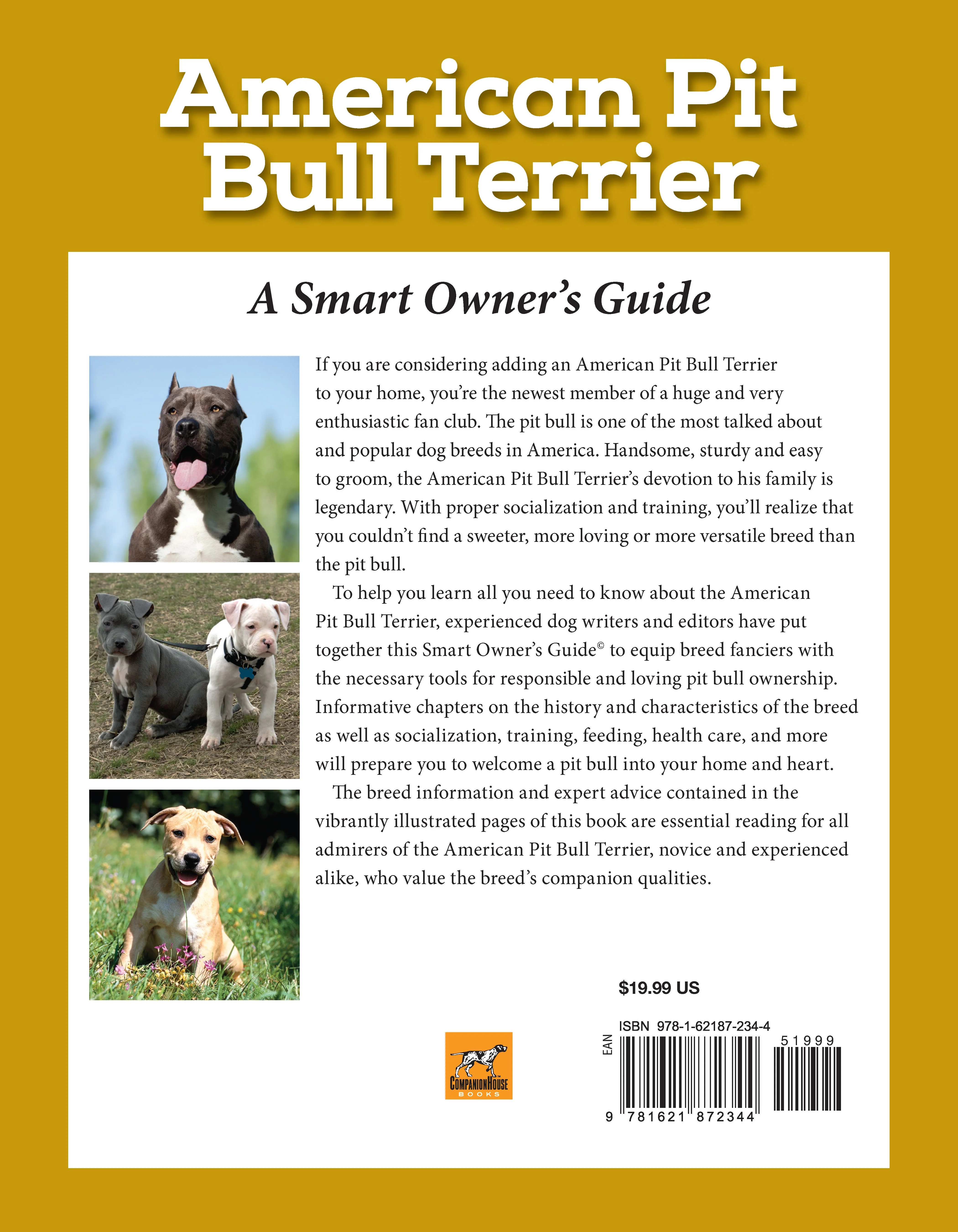 American Pit Bull Terrier - Image 7