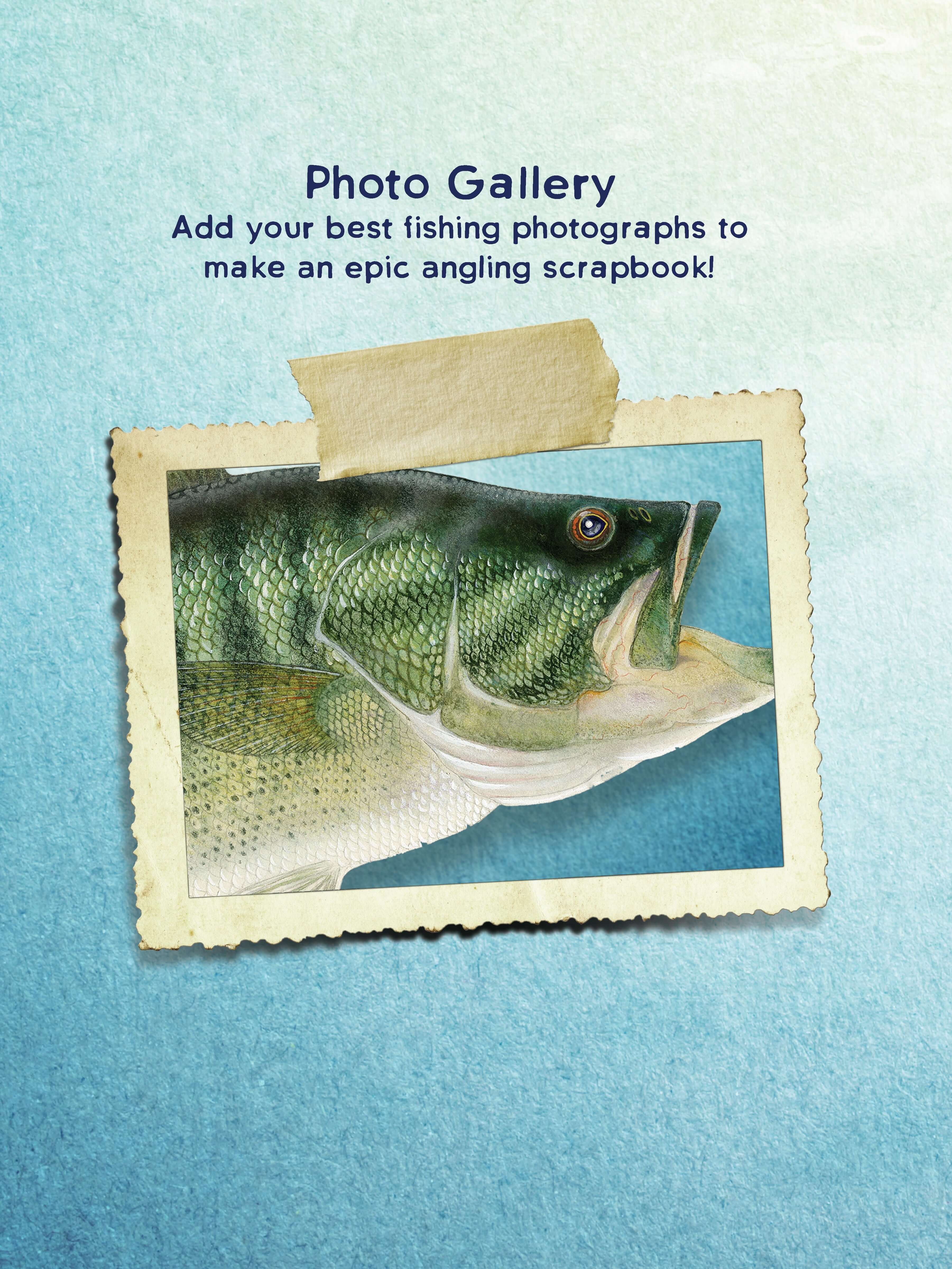 An Angler's Journal - Image 2