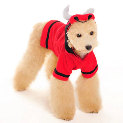 Angry Bull - Image 3