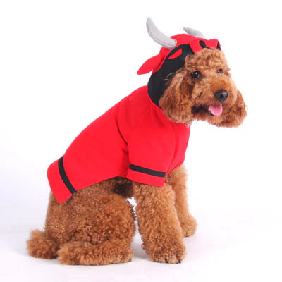 Angry Bull - Image 5