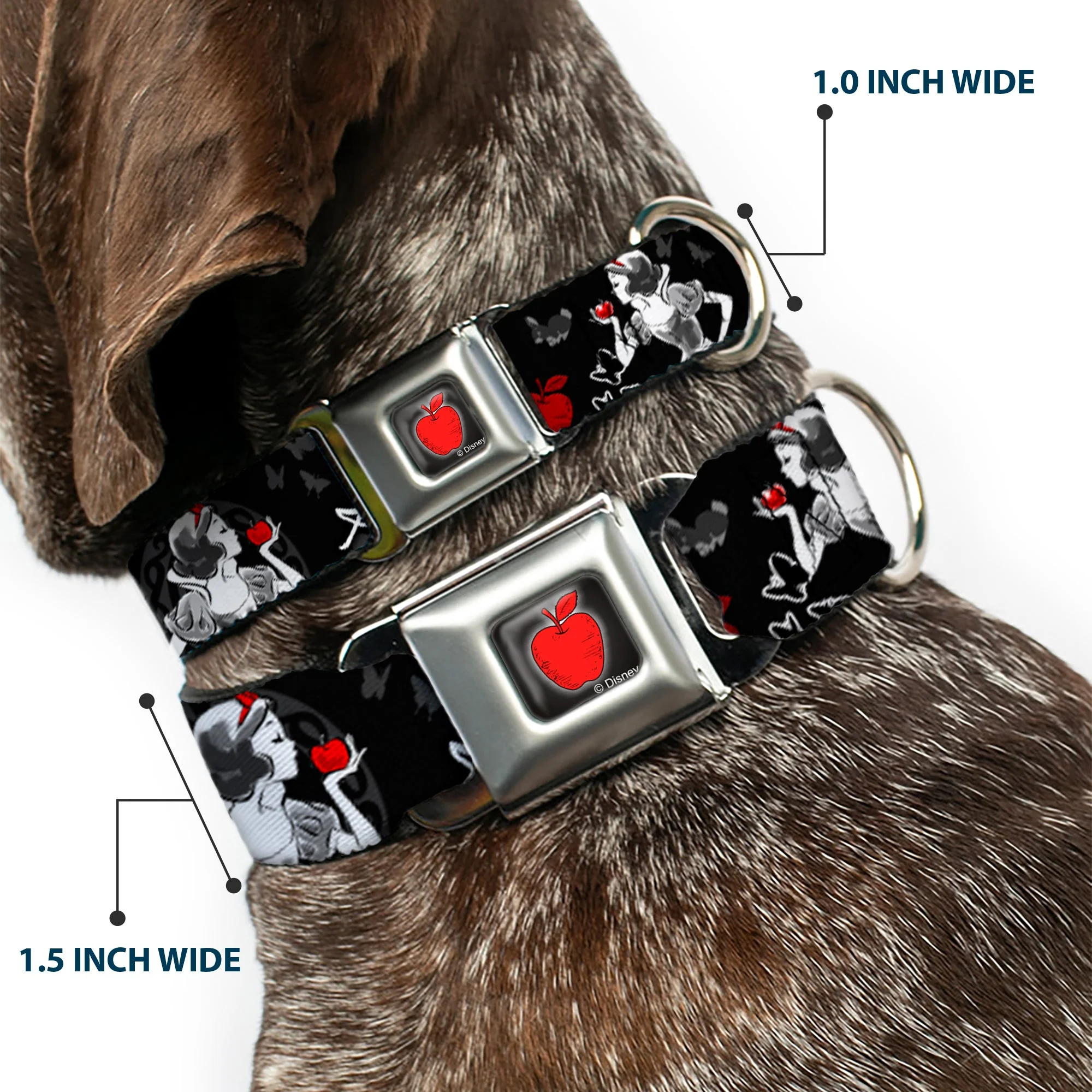 Apple Glow Full Color Black Red Seatbelt Buckle Collar - SNOW WHITE Apple Poses/Butterflies Black/Gray/Red - Image 2