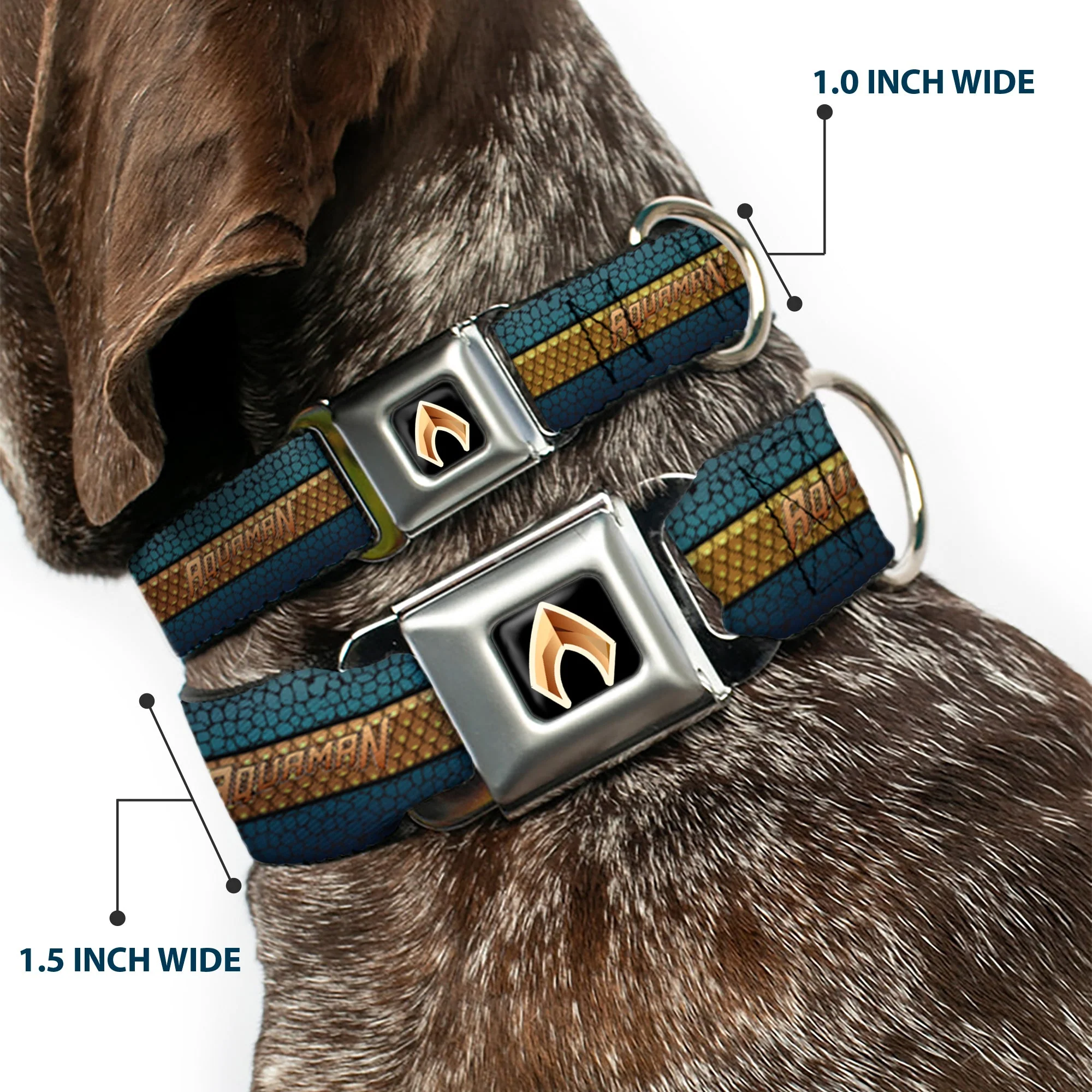 Aquaman 2017 Icon Black/Golds Seatbelt Buckle Collar - AQUAMAN Scales Stripe Blues/Golds - Image 2