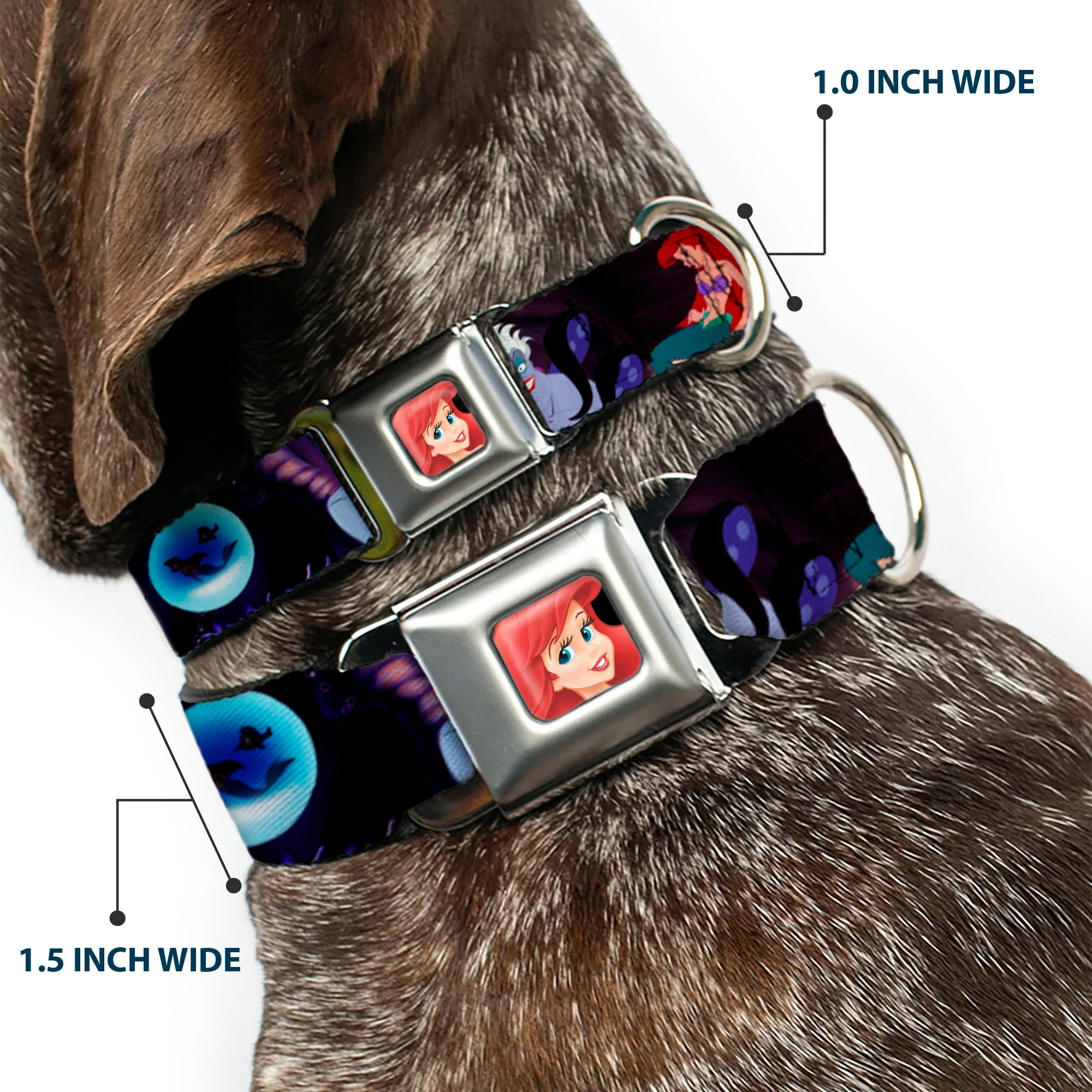 Ariel CLOSE-UP Full Color Seatbelt Buckle Collar - The Little Mermaid Ariel & Ursula Scenes - Image 2