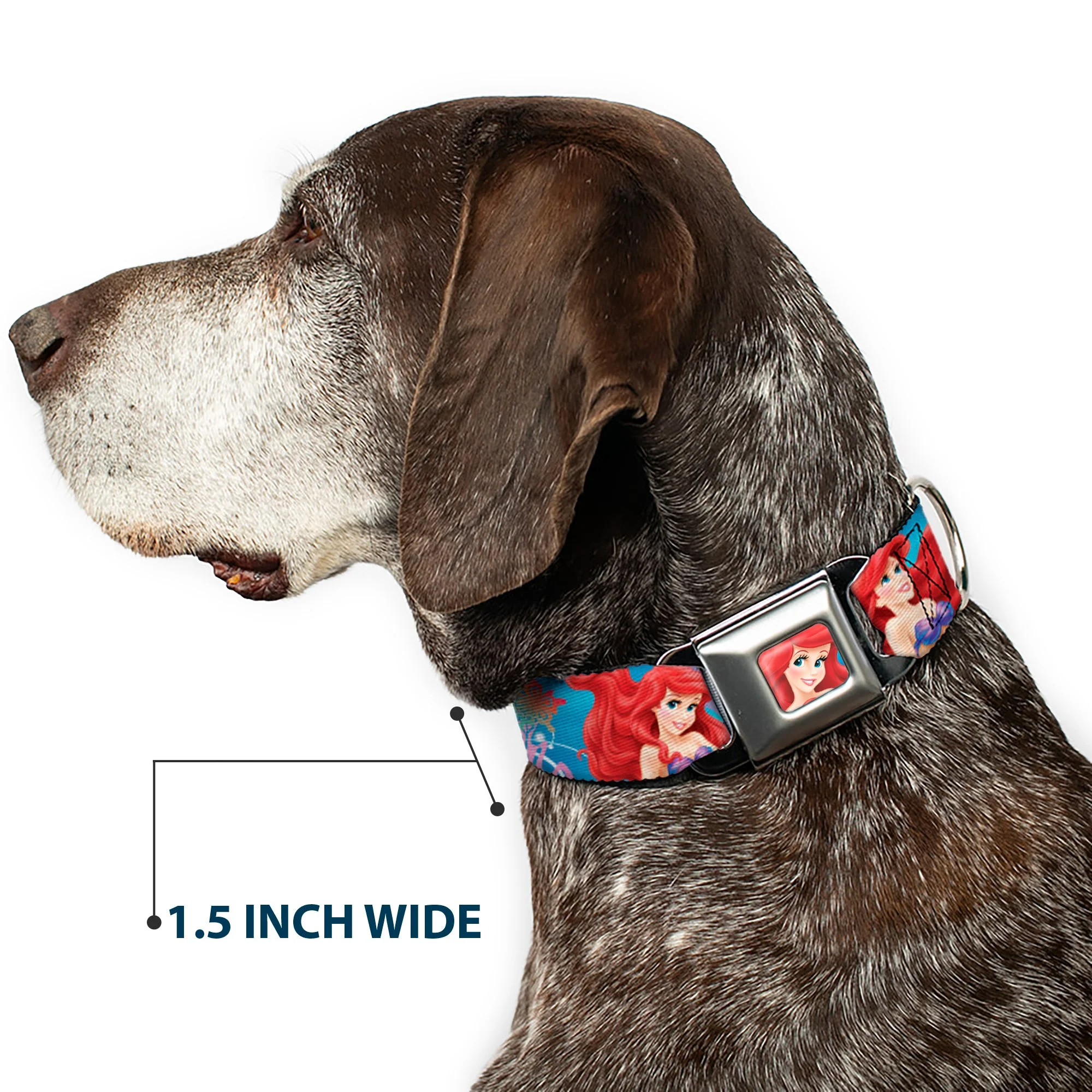 Ariel Face3 Full Color Blue Seatbelt Buckle Collar - Ariel & Flounder Vivid Underwater Poses - Image 7