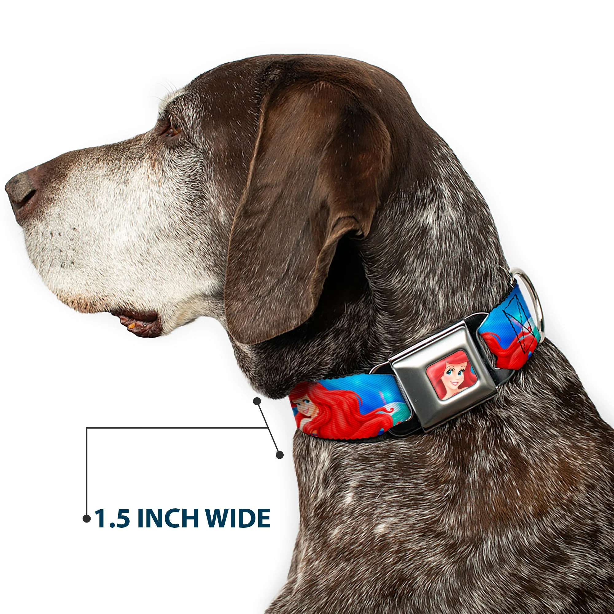 Ariel Face3 Full Color Blue Seatbelt Buckle Collar - Ariel Vivid Underwater Sparkle Poses/Castle - Image 7