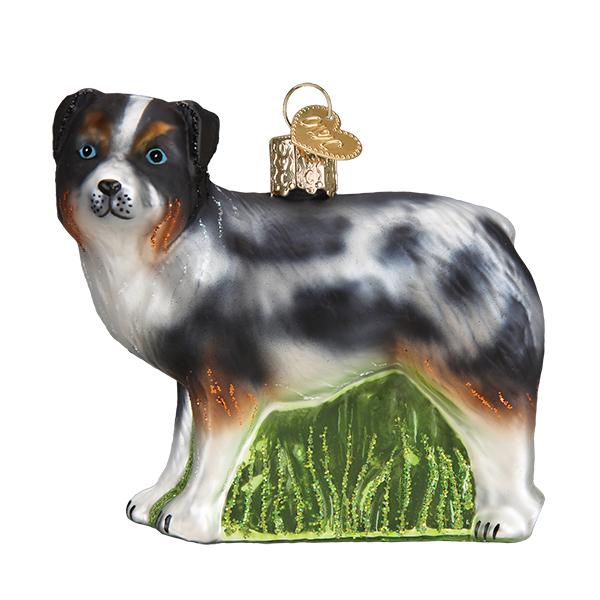 Australian Shepherd - Image 3