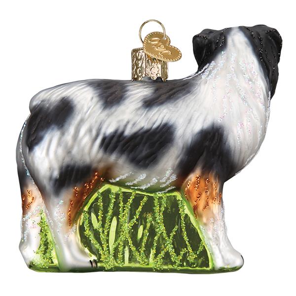 Australian Shepherd - Image 4