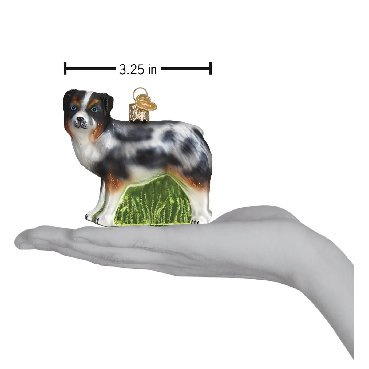 Australian Shepherd - Image 6