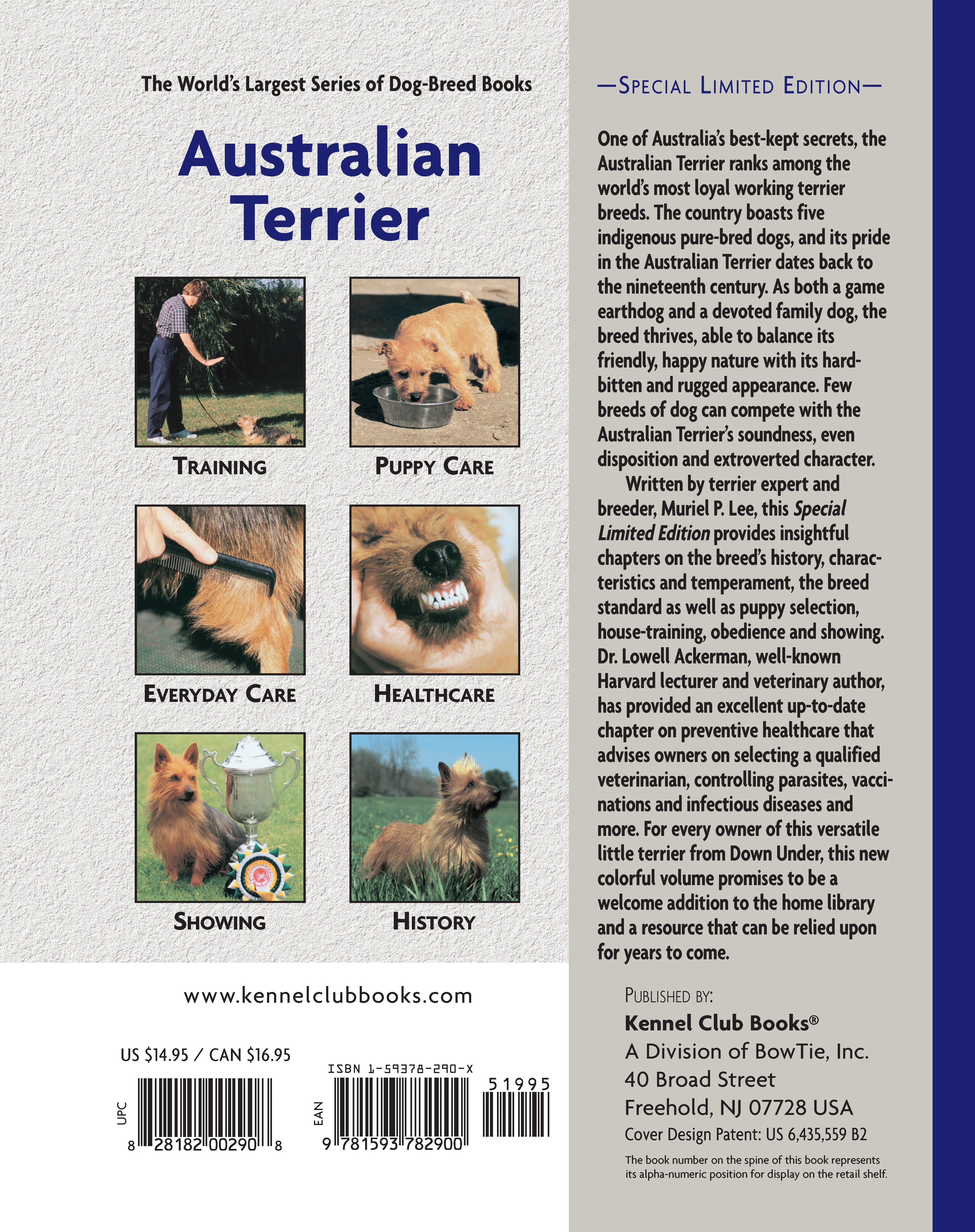 Australian Terrier - Image 2