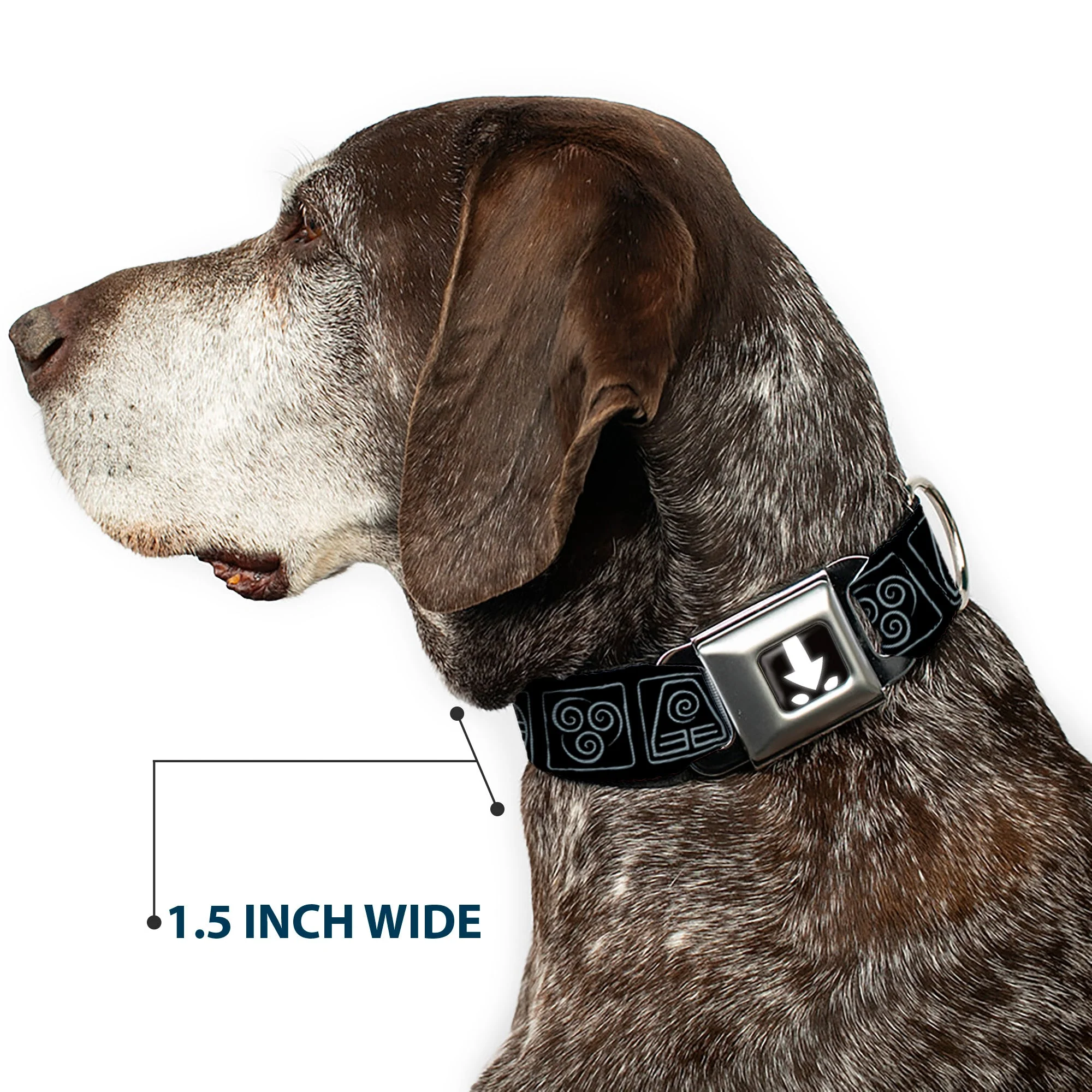 Avatar the Last Airbender Aang Glowing Arrow/Eyes Full Color Black/White Seatbelt Buckle Collar - Avatar the Last Airbender Bending Elements Icons Black/Gray - Image 7