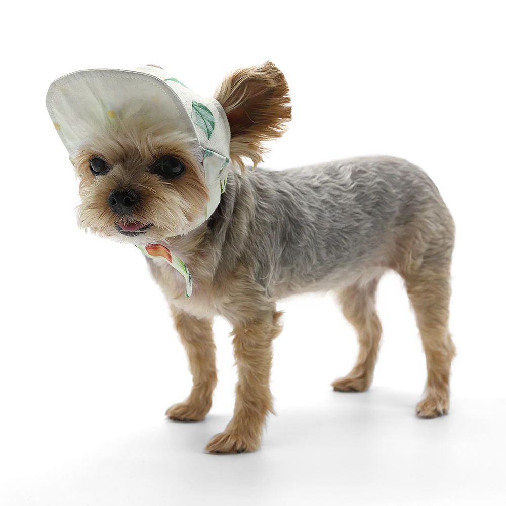 Avocado Hat