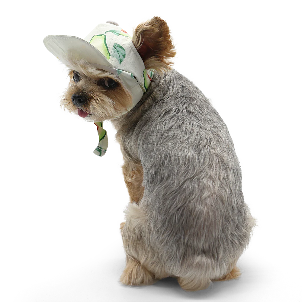 Avocado Hat - Image 2