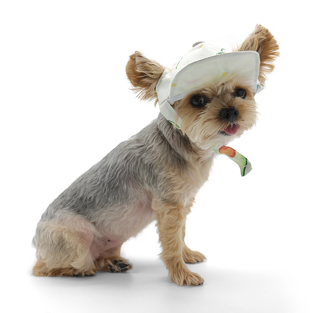 Avocado Hat - Image 4