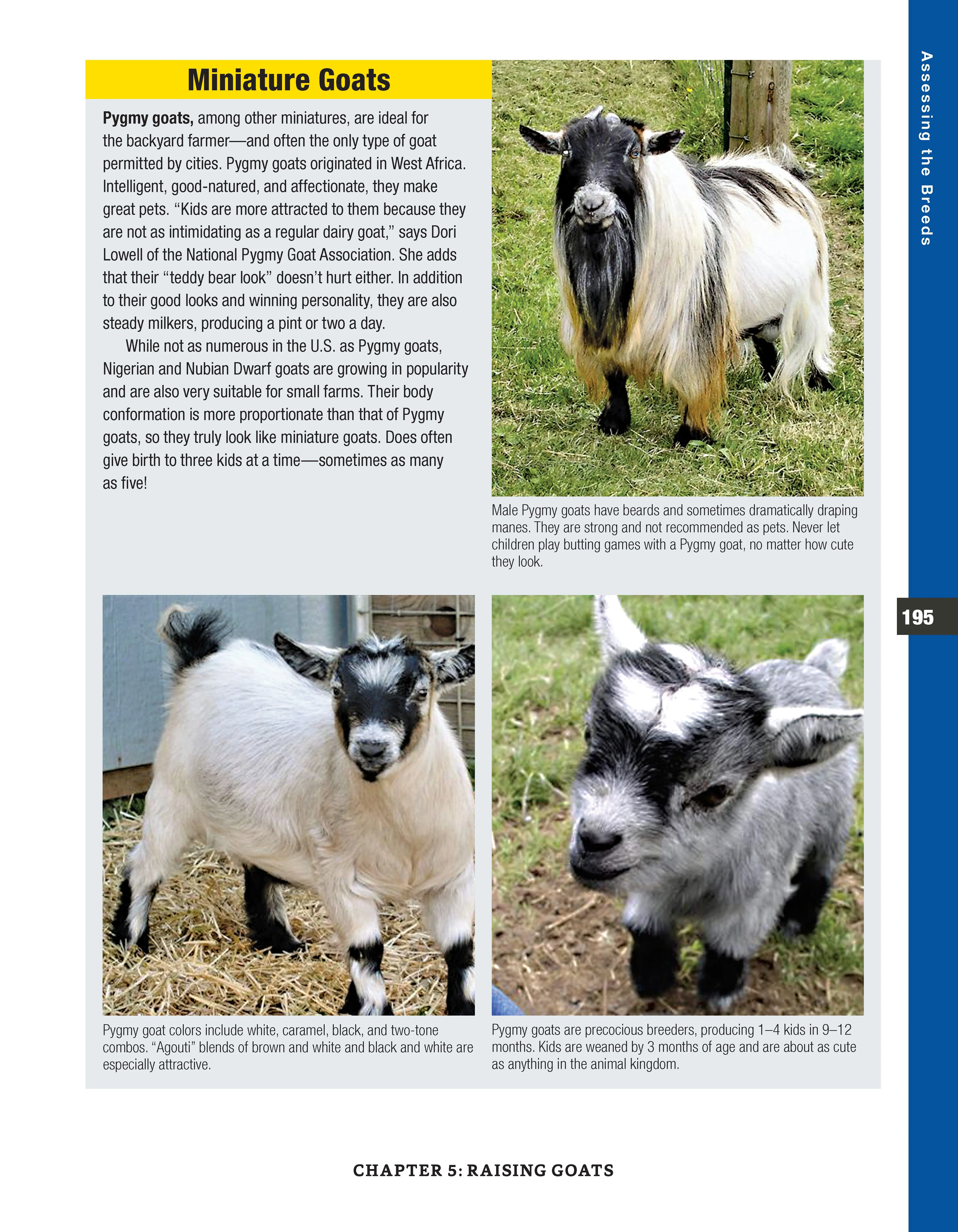 Backyard Homesteading, Second Revised Edition - Image 11