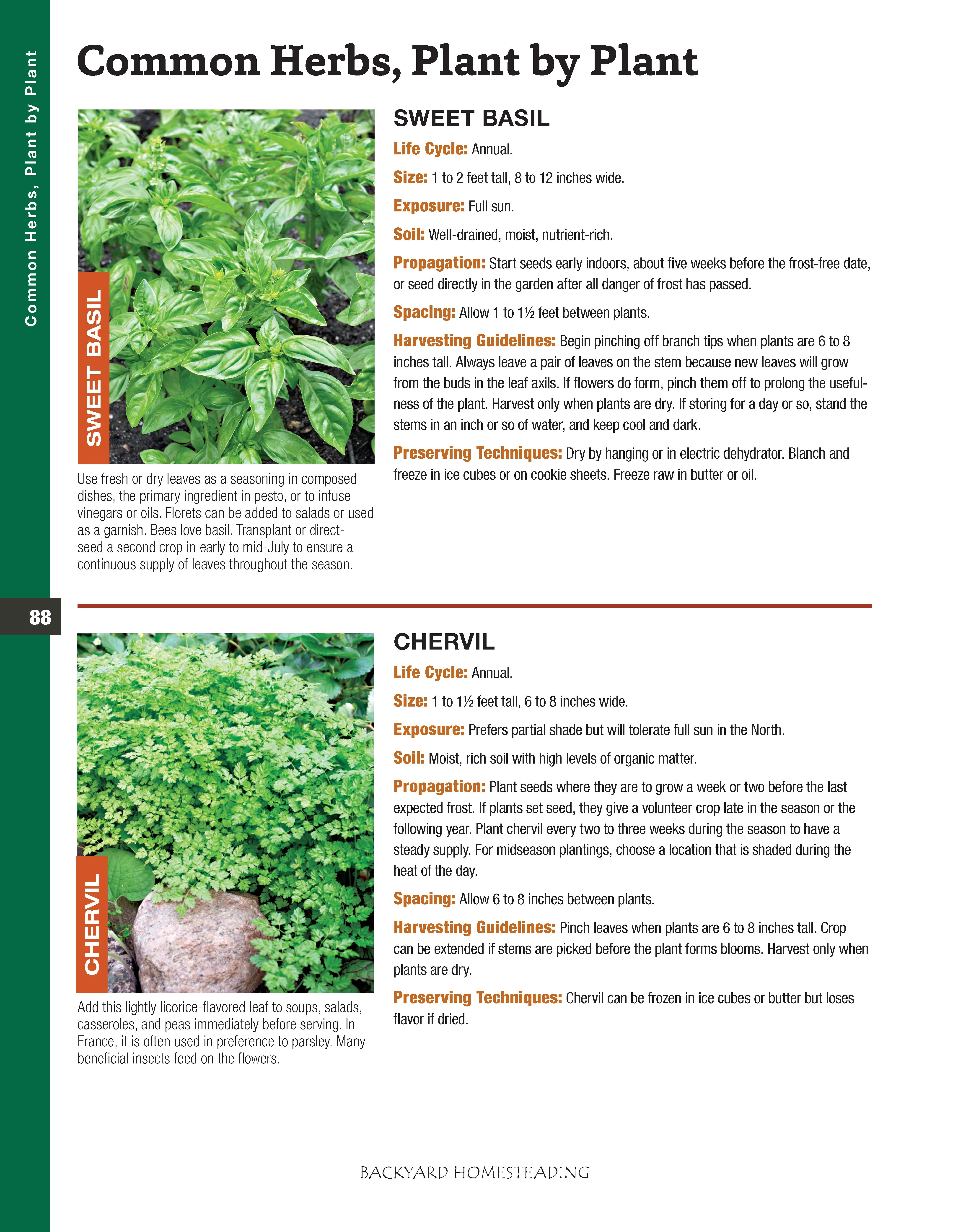 Backyard Homesteading, Second Revised Edition - Image 13