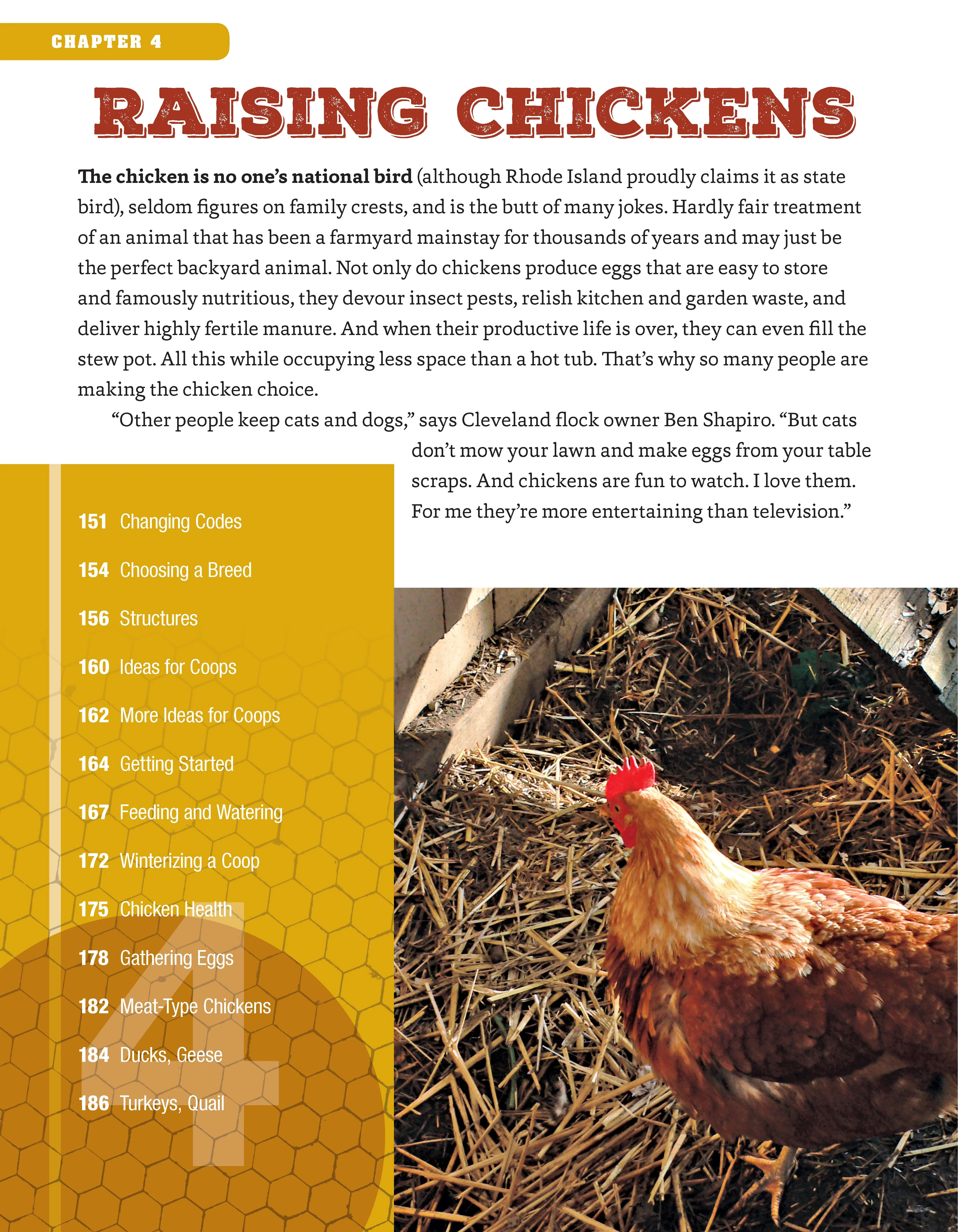 Backyard Homesteading, Second Revised Edition - Image 2