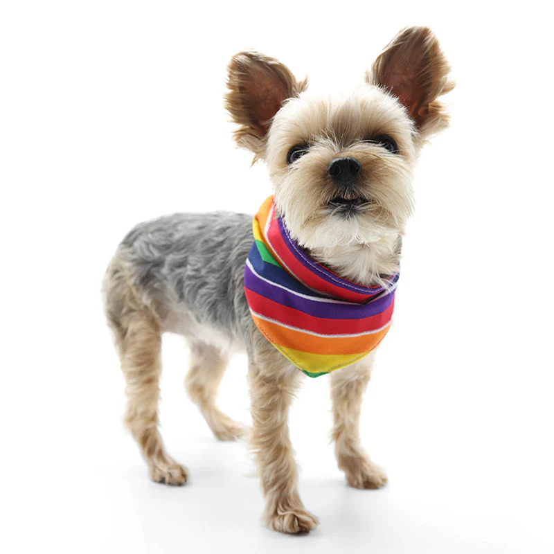 Bandana Rainbow - Image 6