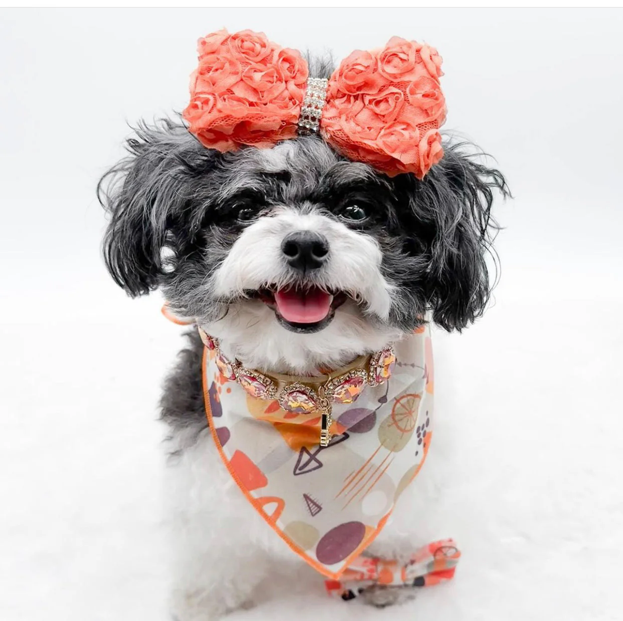 Bandana Set: Spicy - Image 3