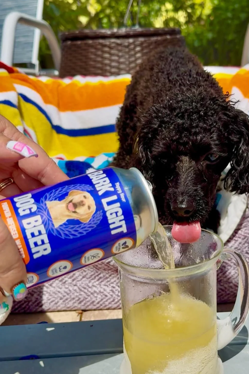 Bark Light Dog Beer - Image 2