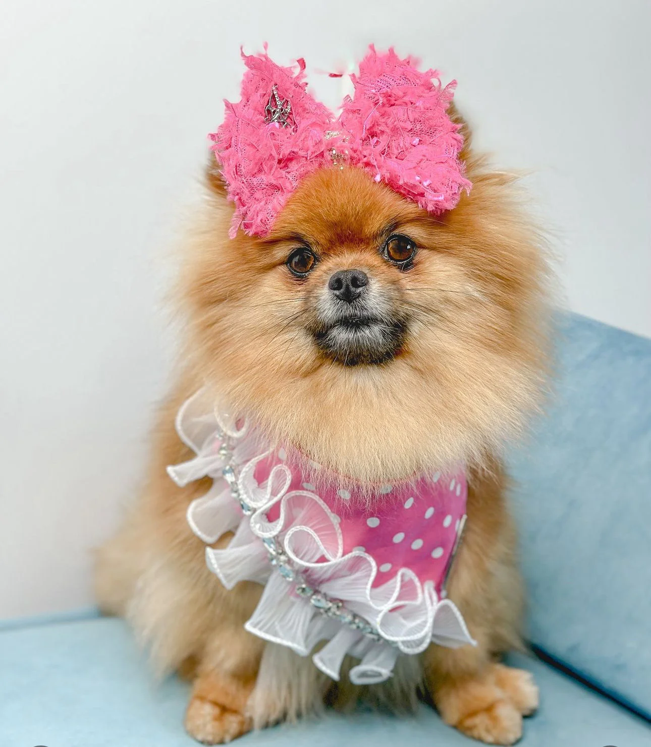 Barkie Collection: Ruffle Me Pink Bandana - Image 3