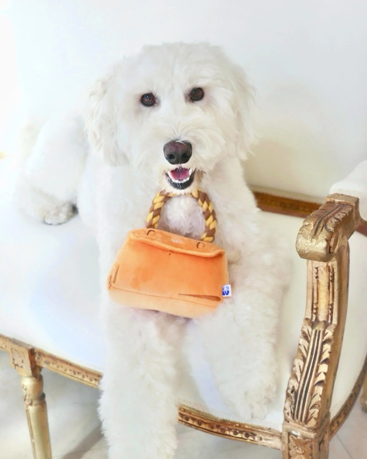 Premium Pet Essential: BARKIN BAG - Image 7