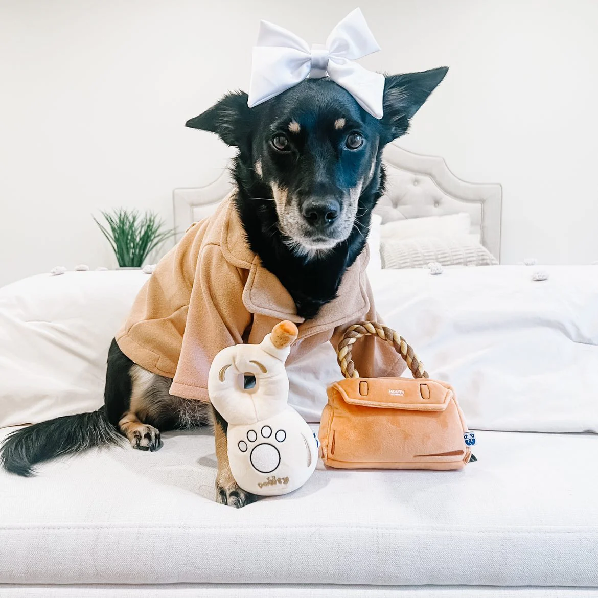 Premium Pet Essential: BARKIN BAG - Image 8
