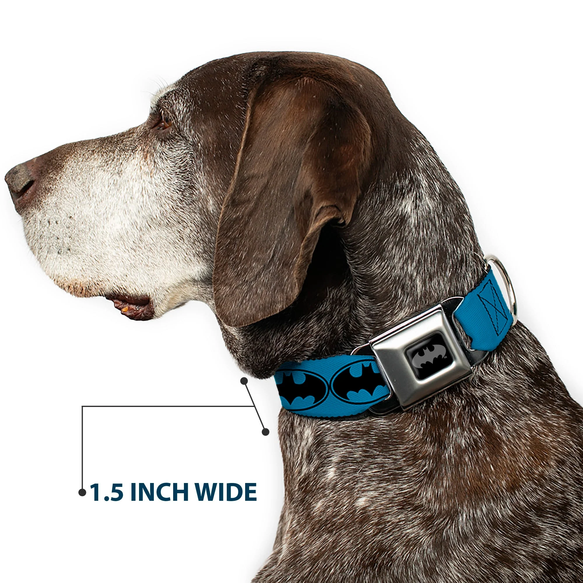 Batman Black Silver Seatbelt Buckle Collar - Bat Signal-3 Blue/Black/Blue - Image 7