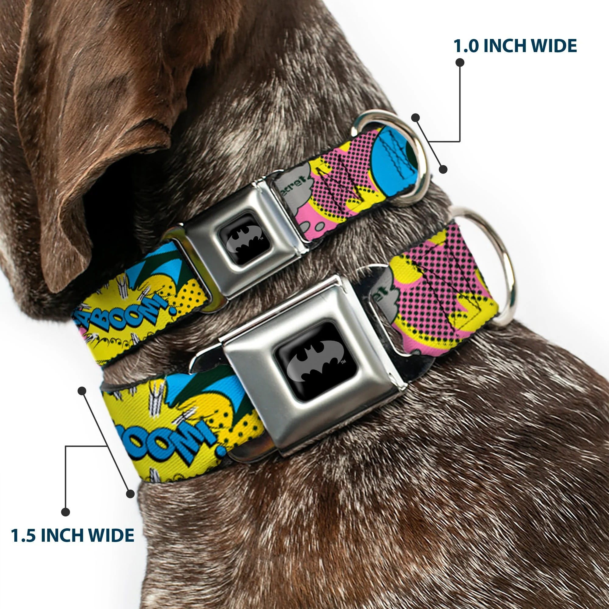 Batman Black/Silver Seatbelt Buckle Collar - BATGIRL-IS SHE HERO OR VILLAIN? w/Batgirl in Action - Image 2