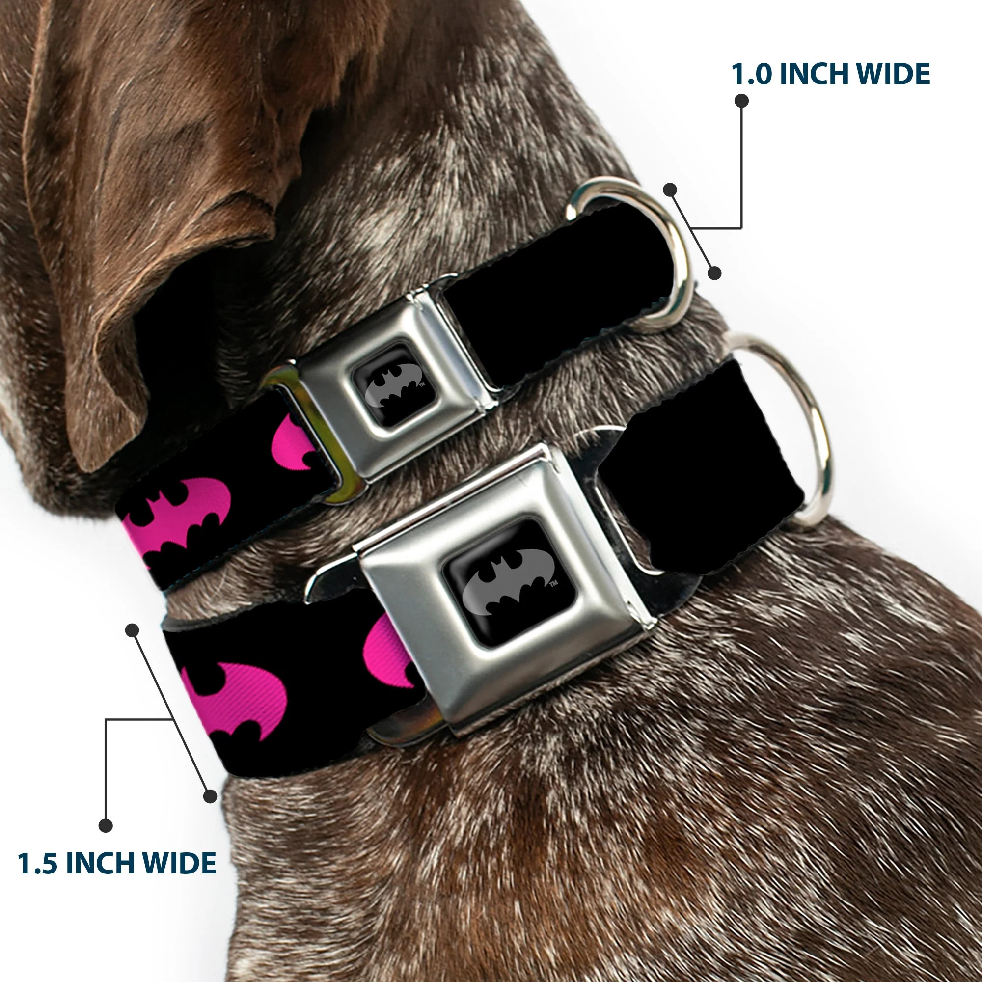 Batman Black Silver Seatbelt Buckle Collar - Batman Signal Black/Fuchsia - Image 2