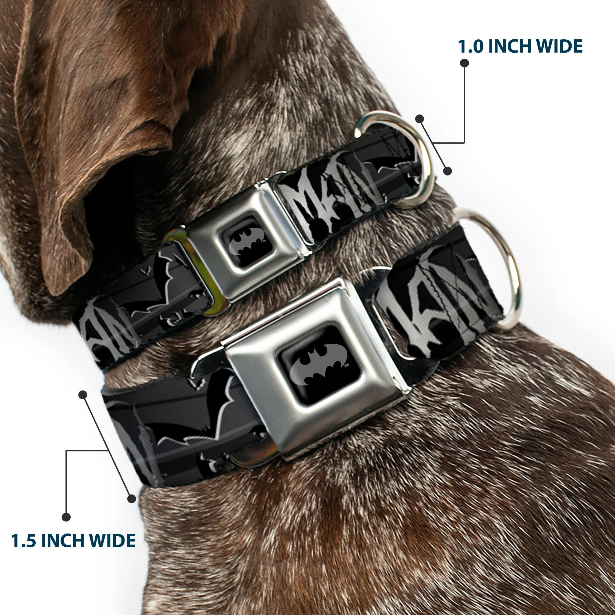 Batman Black Silver Seatbelt Buckle Collar - BATMAN w/Bat Signals & Flying Bats Black/White - Image 2