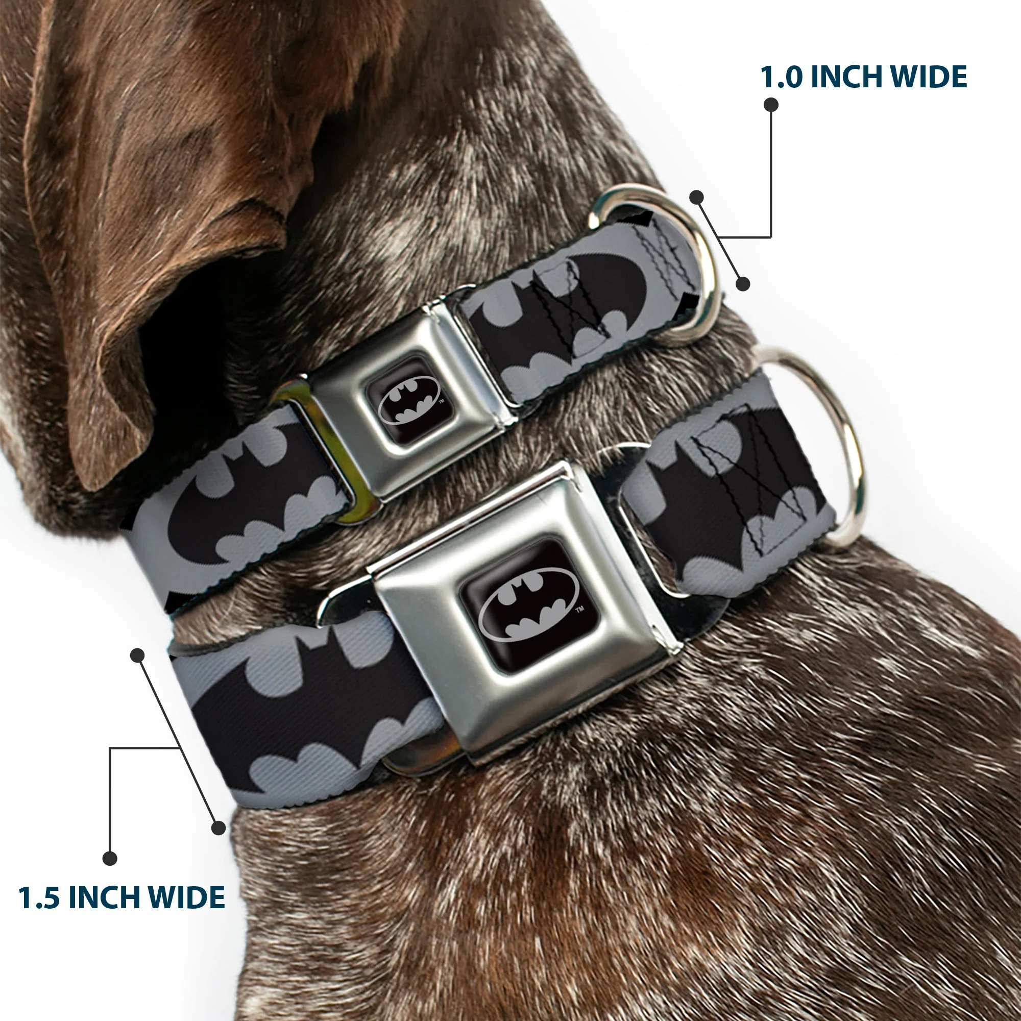 Batman Full Color Black Silver Black Seatbelt Buckle Collar - Bat Signal-5 Black/Gray/Black - Image 2