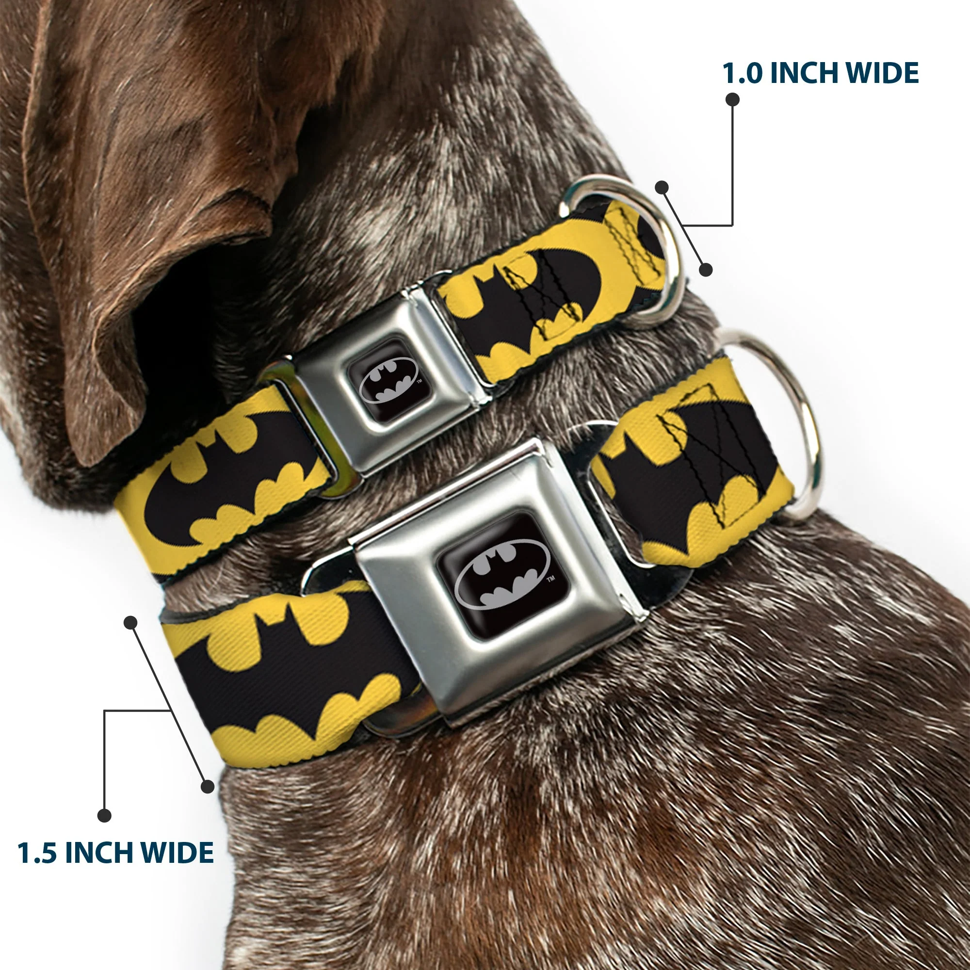 Batman Full Color Black Silver Black Seatbelt Buckle Collar - Bat Signal-5 Black/Yellow/Black - Image 2